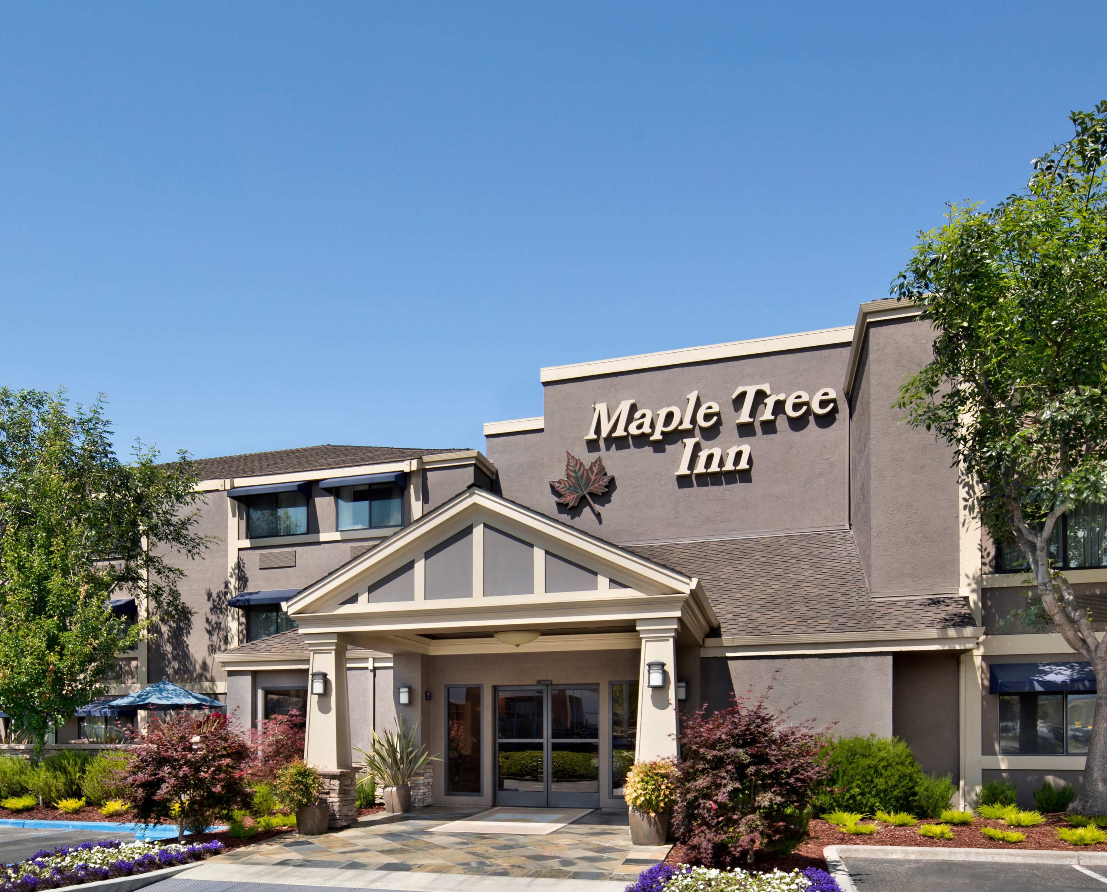 The image shows the front entrance of the Maple Tree Inn, featuring a covered porch, large windows, and decorative landscaping.