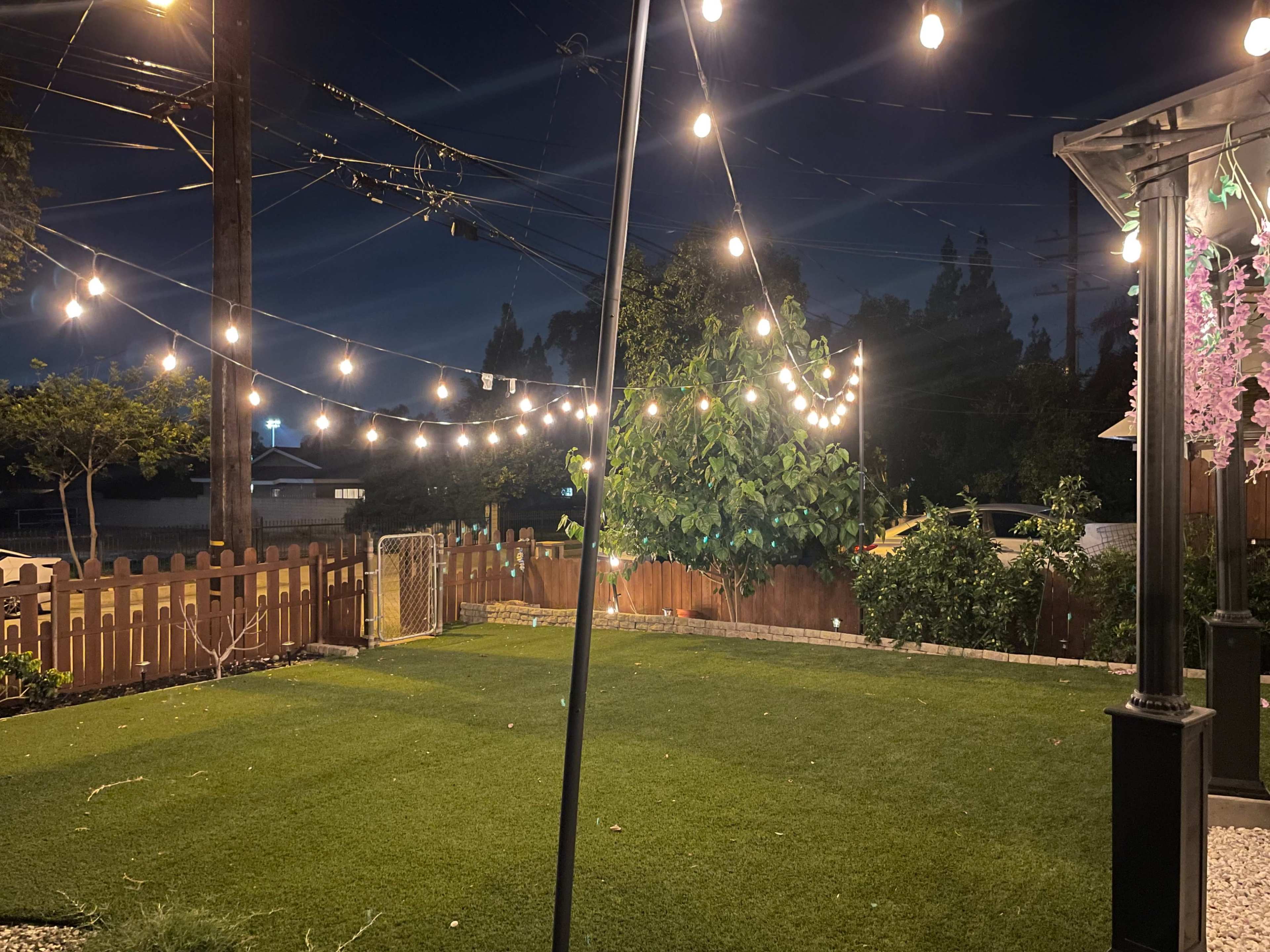 A backyard at night, illuminated by string lights, with a green lawn and a wooden fence in the background.
