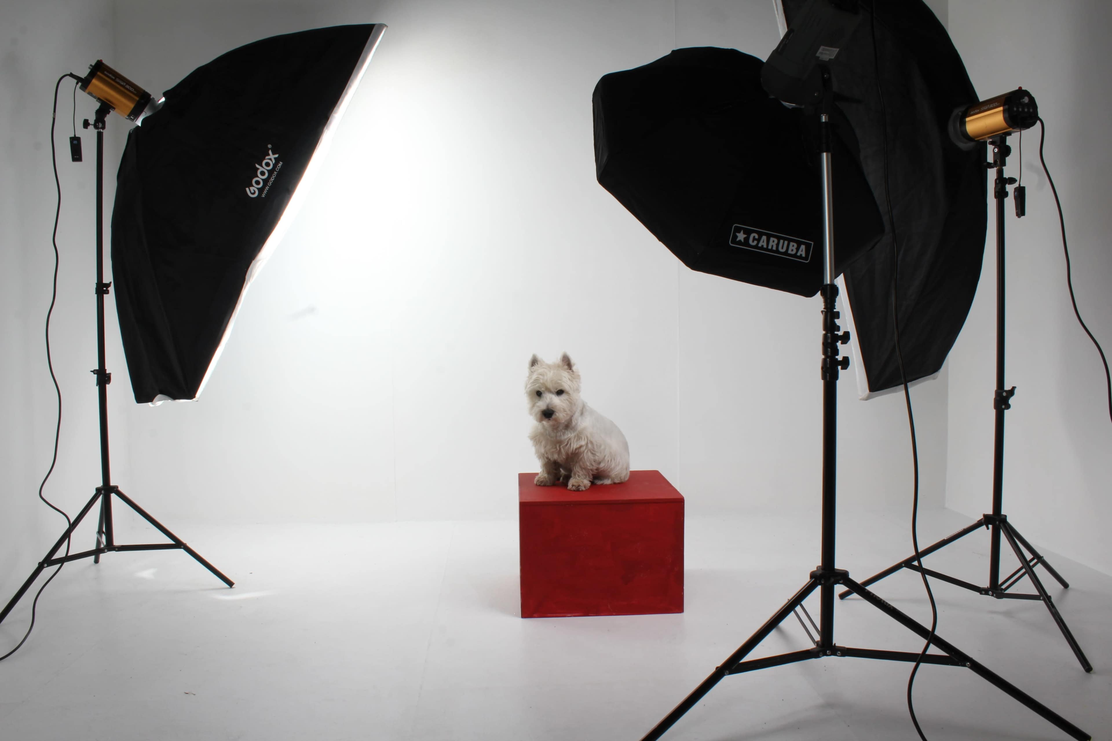 Photo studio Paris / Artist studio with incredible natural Light and available set design Image dans Montmartre, Pantin, 
