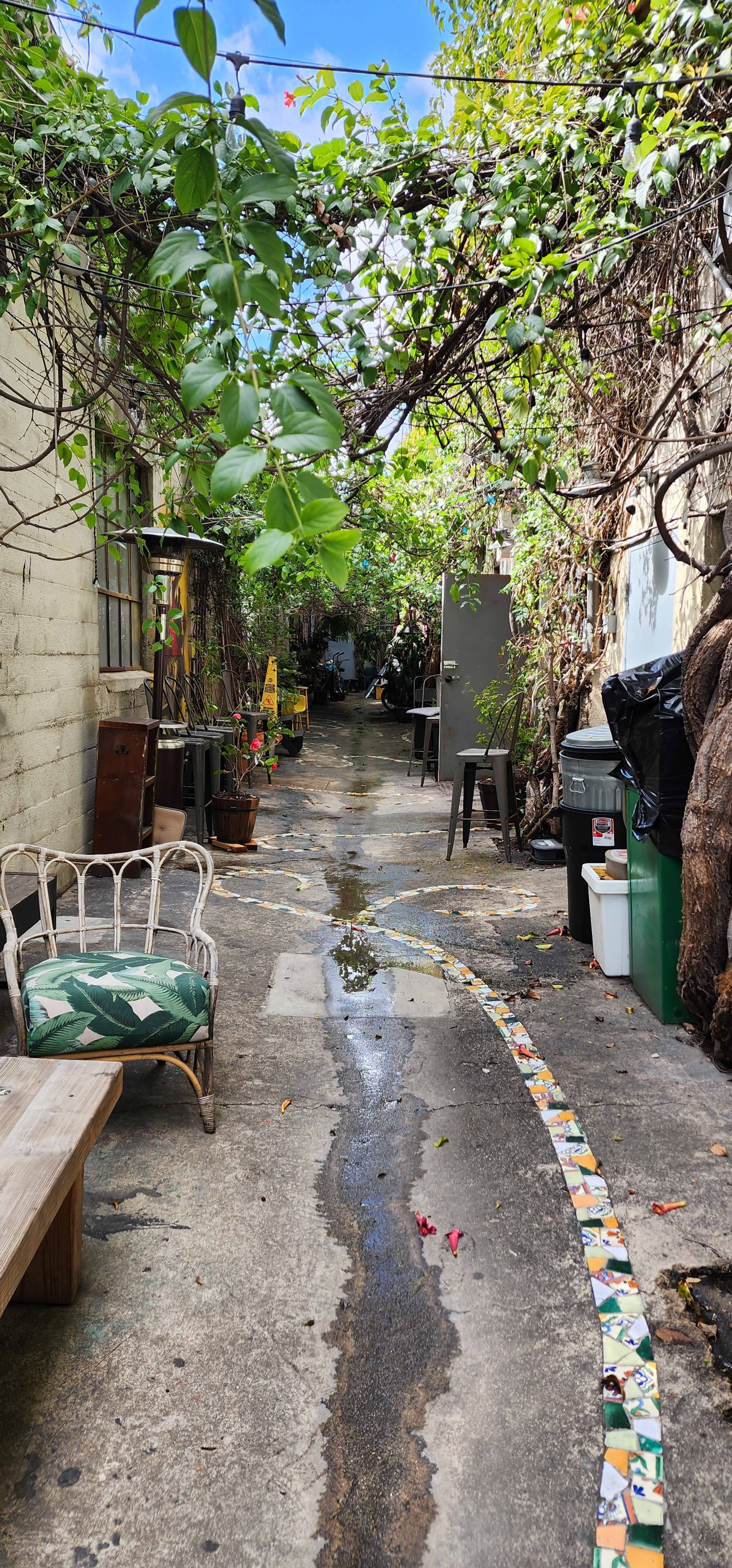 A narrow, overgrown alleyway features a concrete path lined with colorful tiles, flanked by chairs and a large tree.