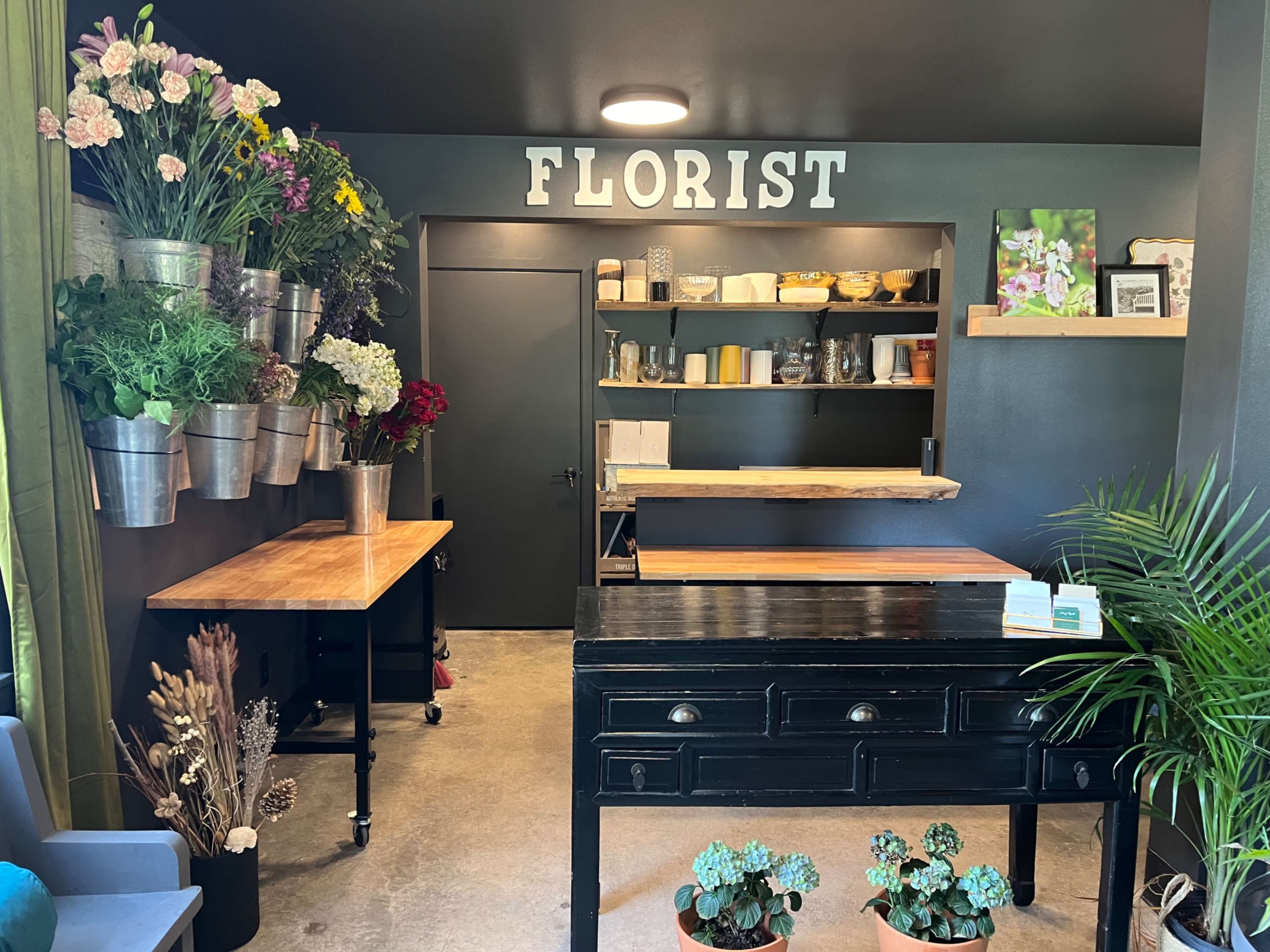 A floral shop interior with a counter, shelves filled with various containers, and a wall adorned with potted plants and flowers.