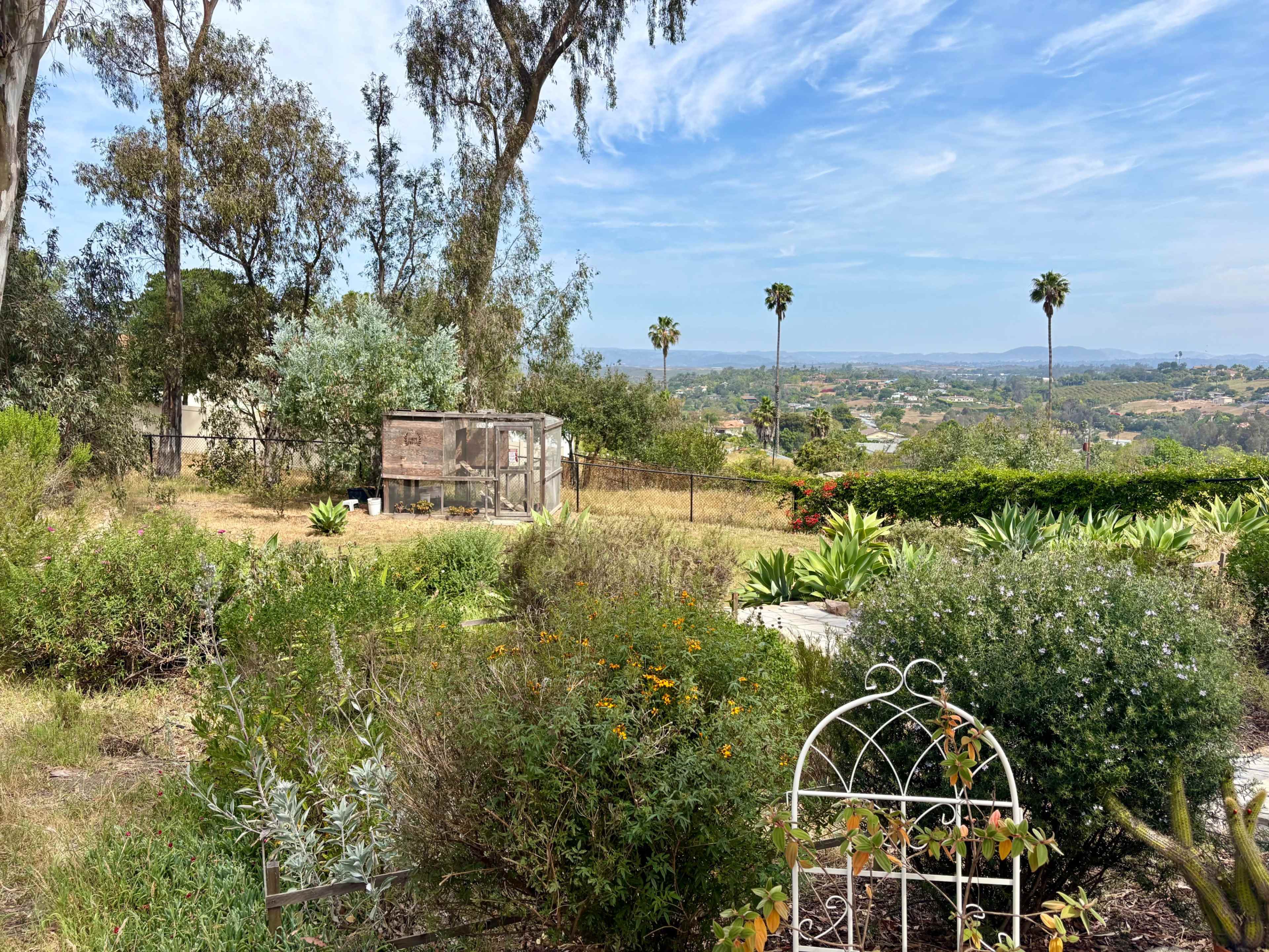 The image depicts a landscape with a garden in the foreground, a wooden structure in the background, and palm trees scattered across the hillside.