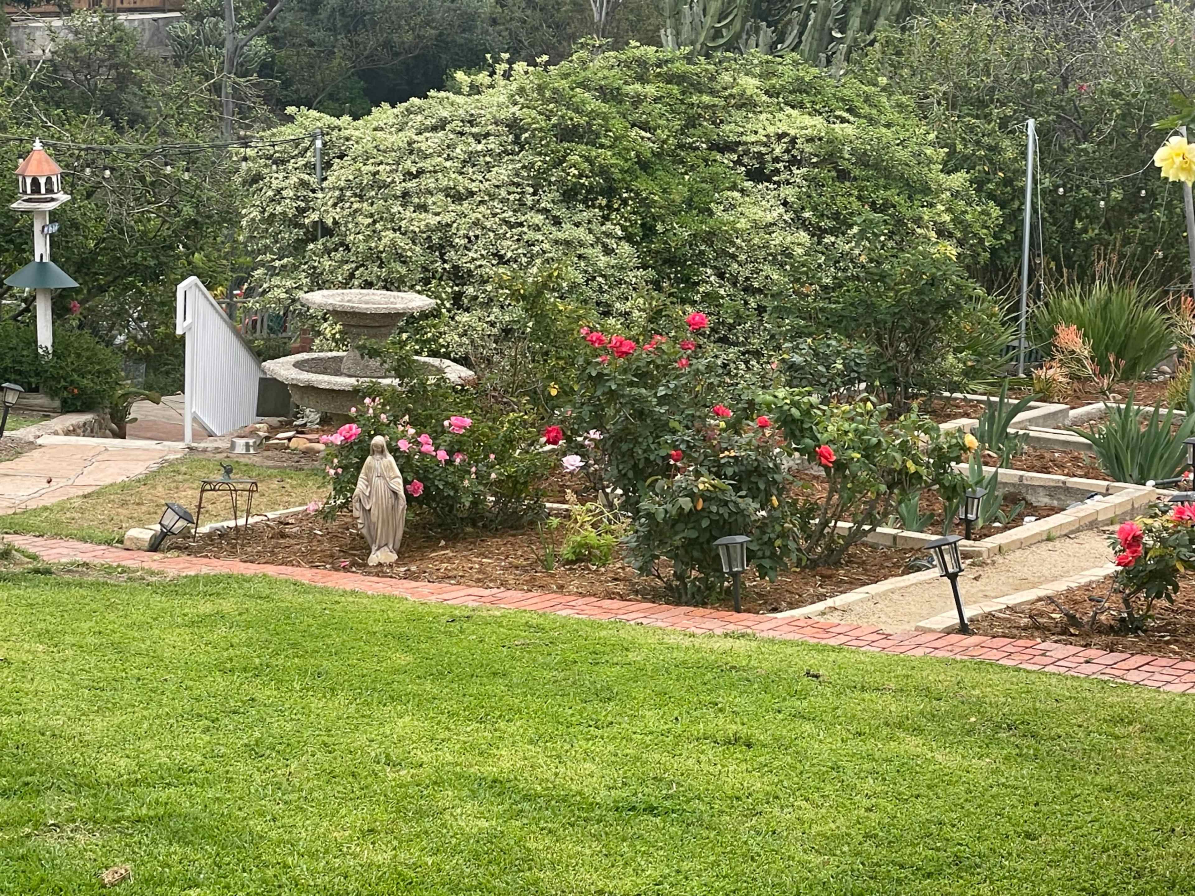 Casa Colibri Gardens, Orchard and grapevines for work/events in Fletcher Hills Image in El Cajon, El Cajon, CA