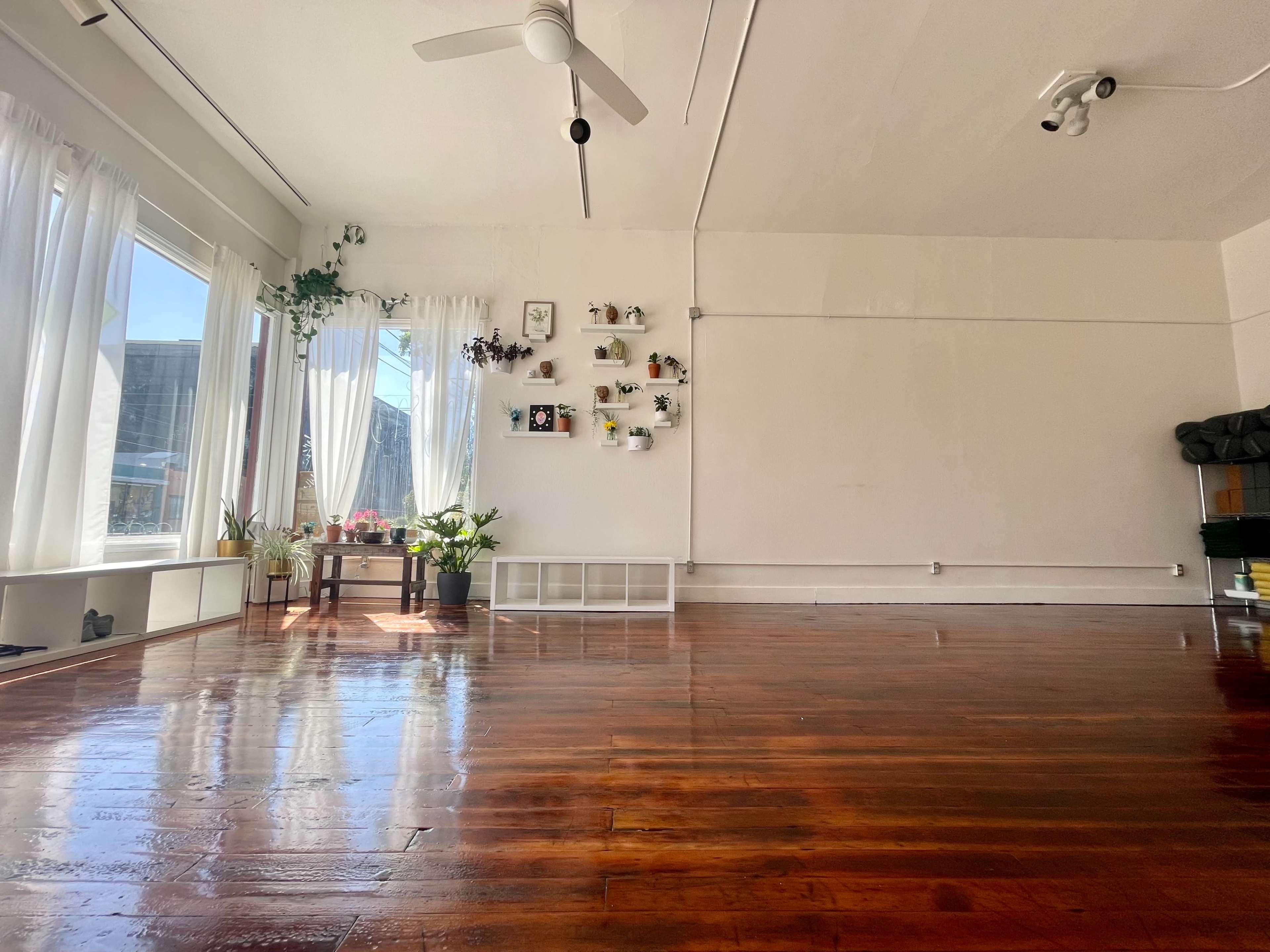 A spacious room with polished wooden floors, large windows, and plants arranged on a wall-mounted shelf.