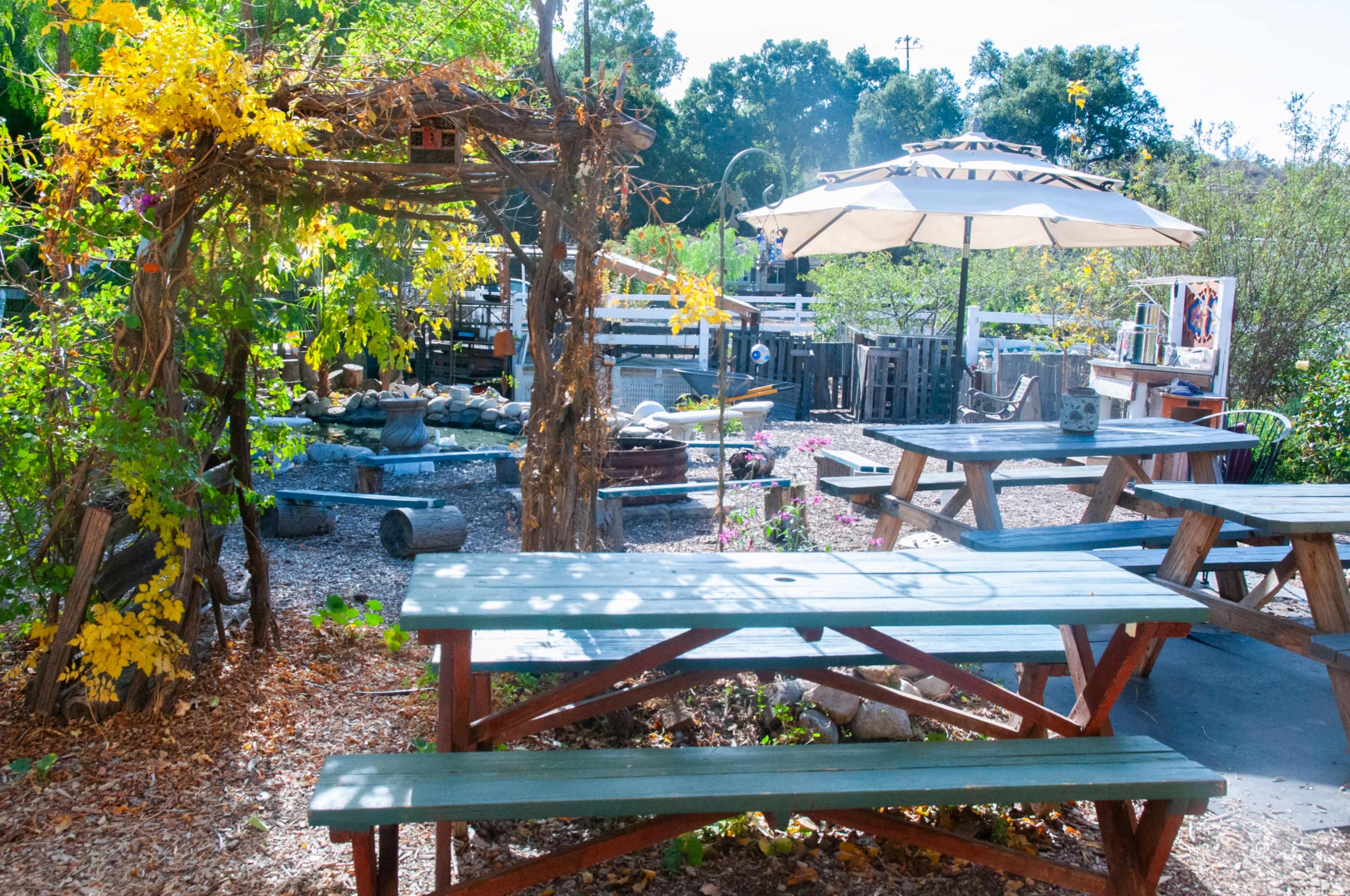 A rustic outdoor space featuring wooden picnic tables, a stone water feature, and vibrant foliage under a bright sky.