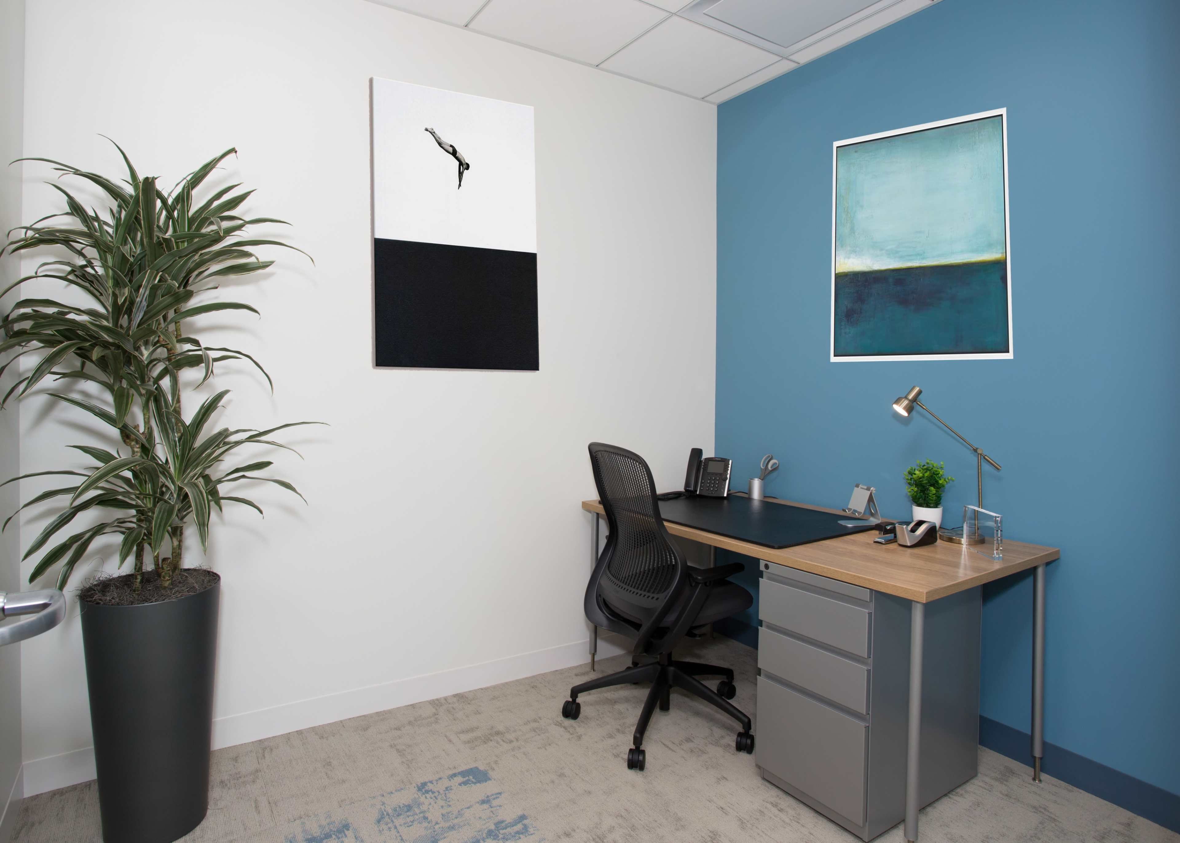 The image shows a modern office space featuring a desk, an ergonomic chair, two framed artworks on the walls, and a potted plant in the corner.