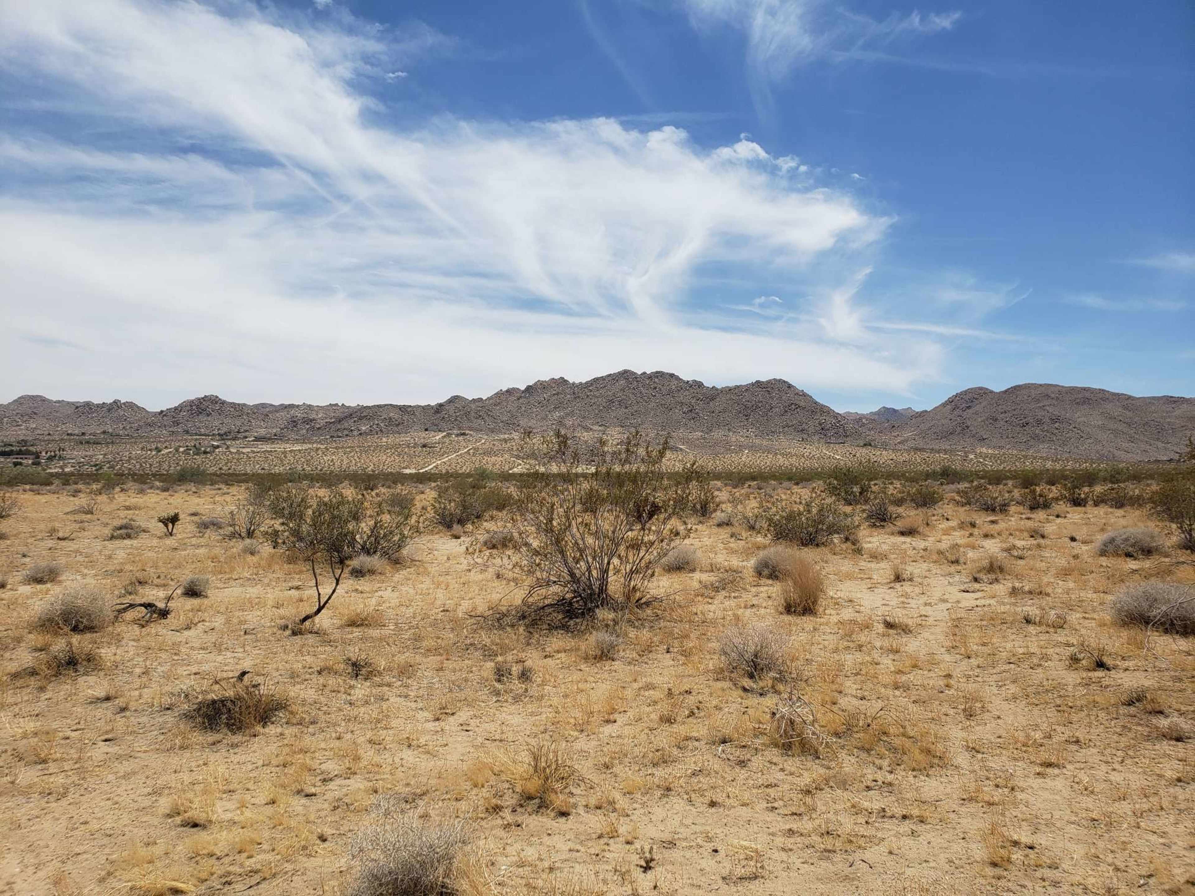 The image shows a dry desert landscape with sparse vegetation and distant mountains under a partly cloudy sky.