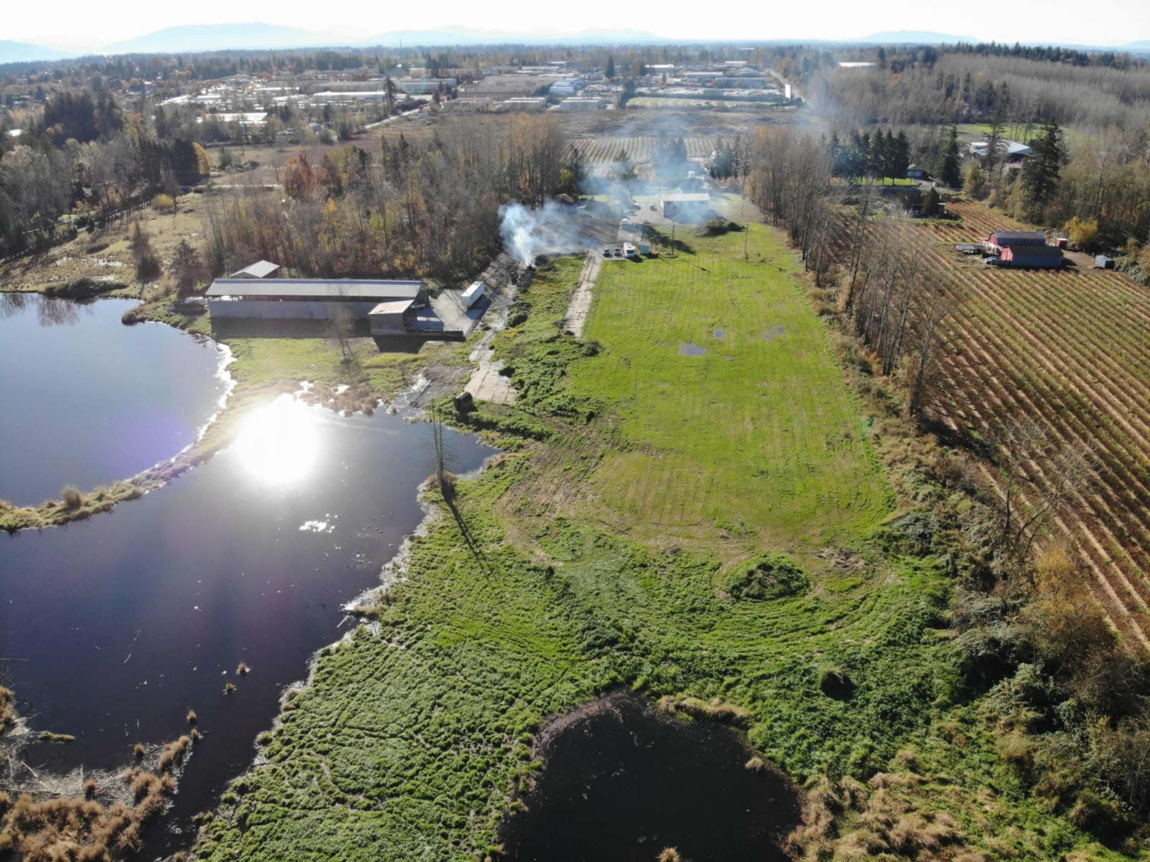 An aerial view captures a rural landscape featuring a pond, scattered buildings, and rows of trees along a field.
