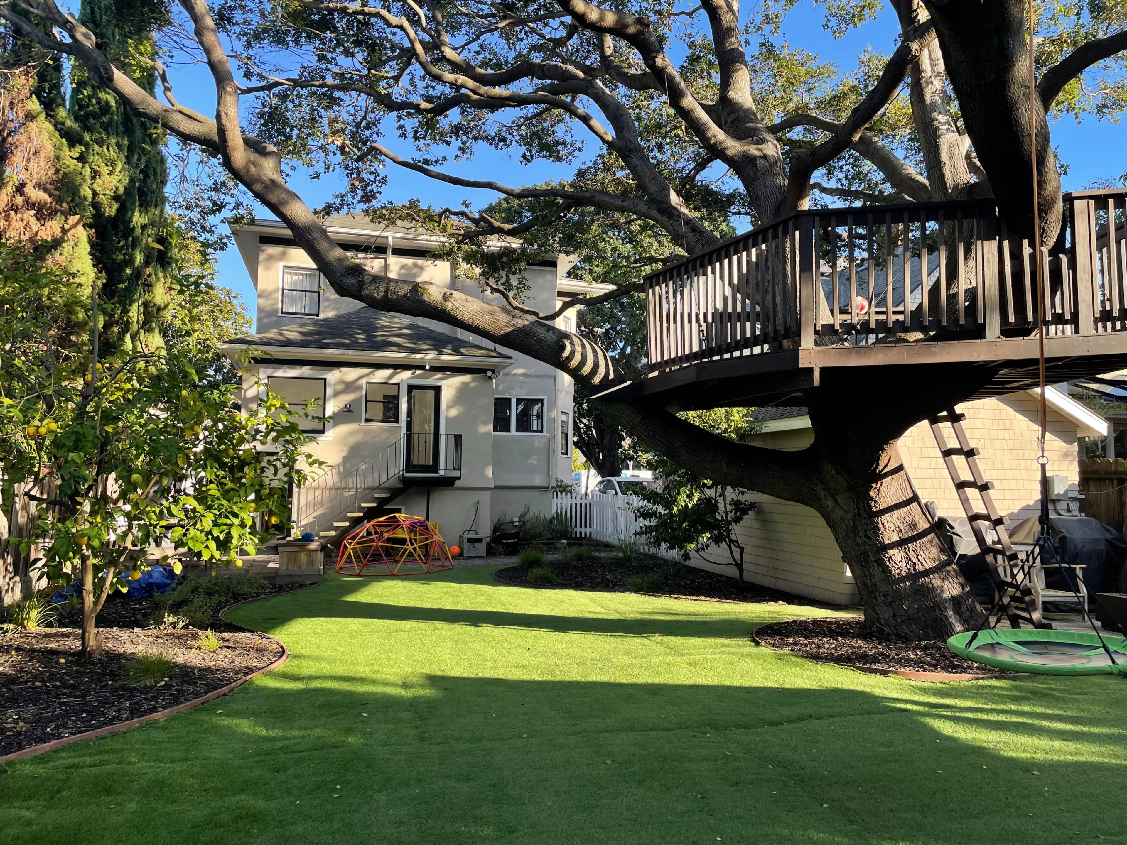 A backyard features a large tree with a deck built around its trunk, alongside a well-maintained lawn and a play structure.