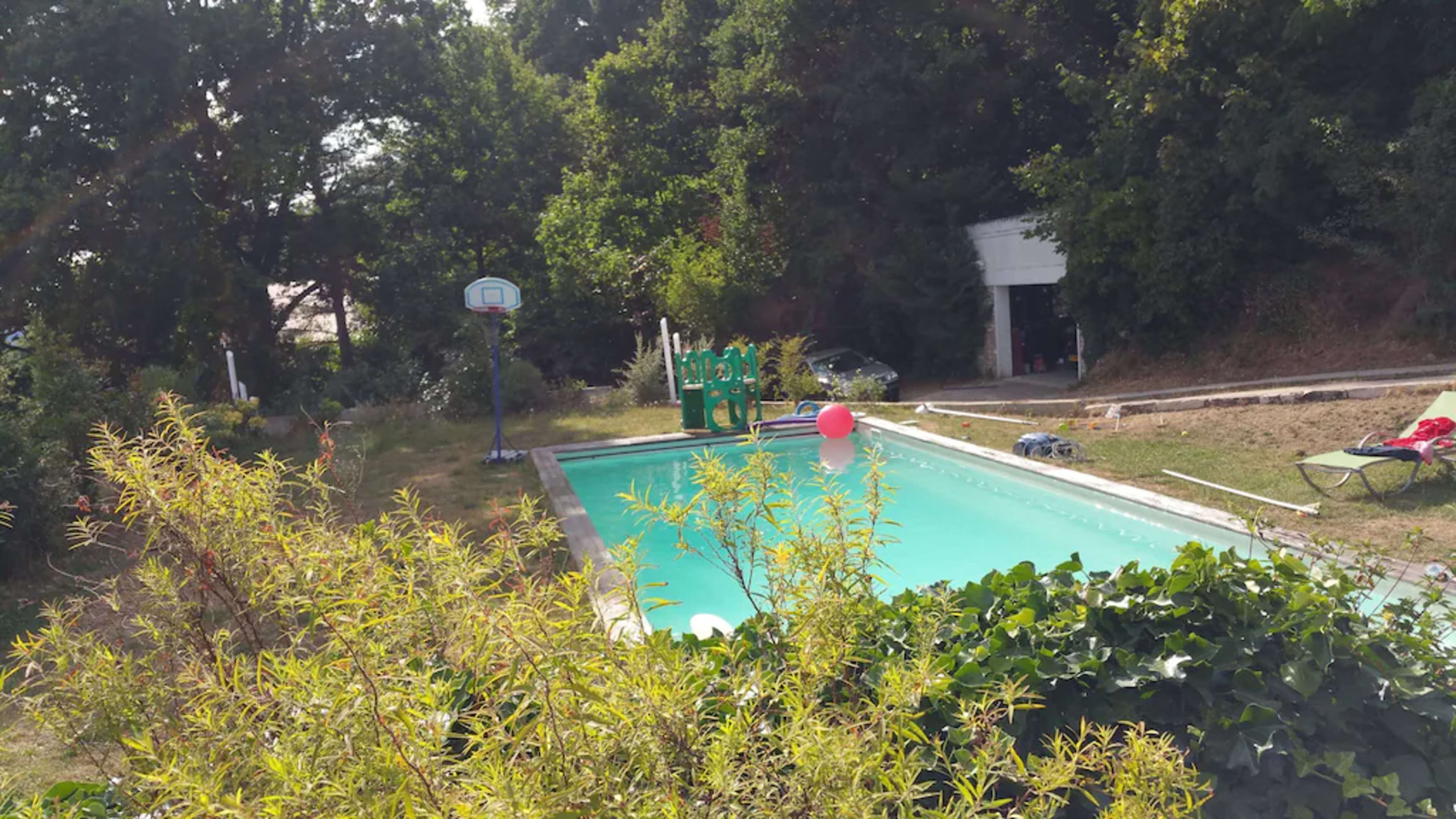 A swimming pool surrounded by greenery, with a basketball hoop and a few lounge chairs nearby.