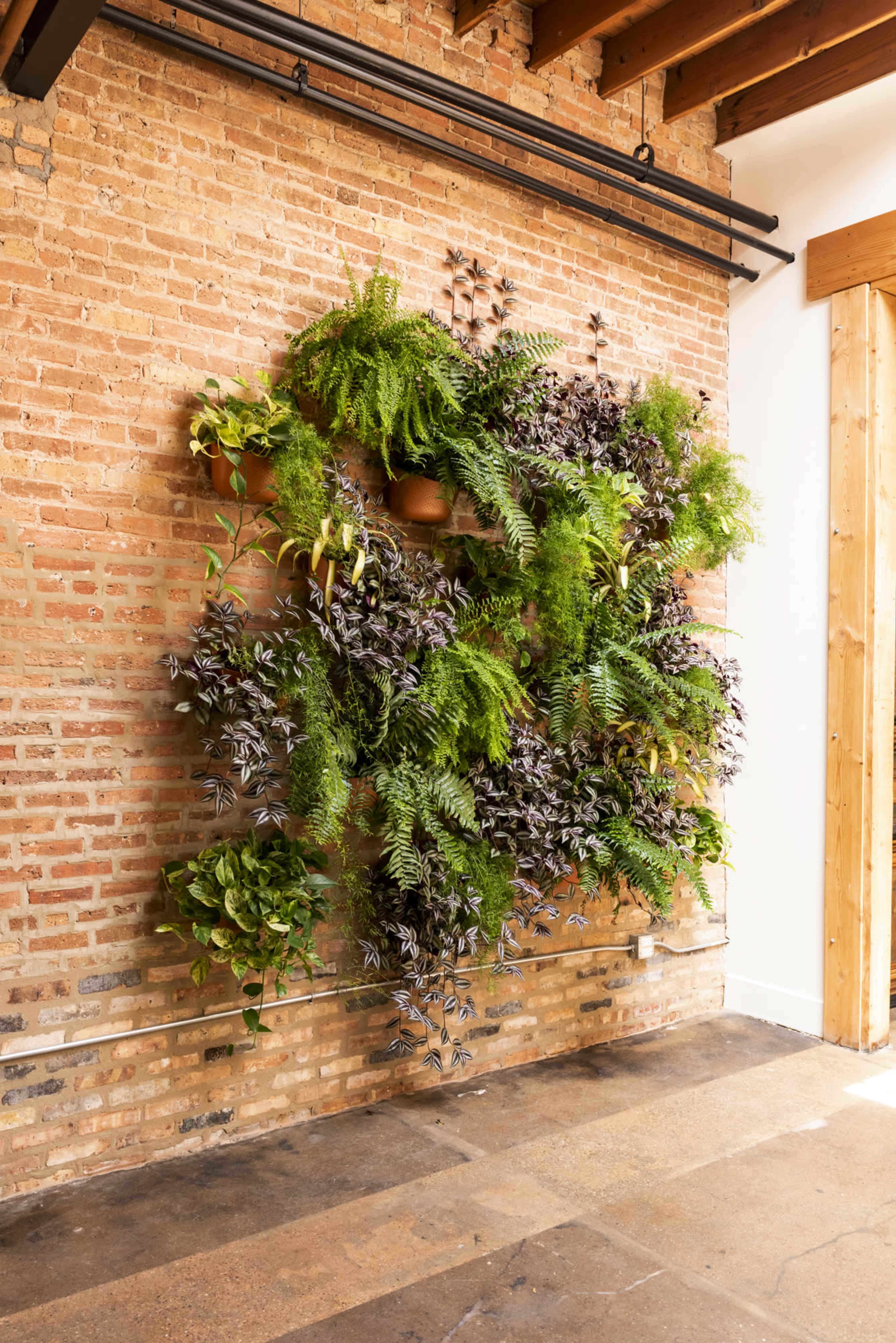 A vertical garden featuring various types of ferns and leafy plants is mounted on a brick wall.