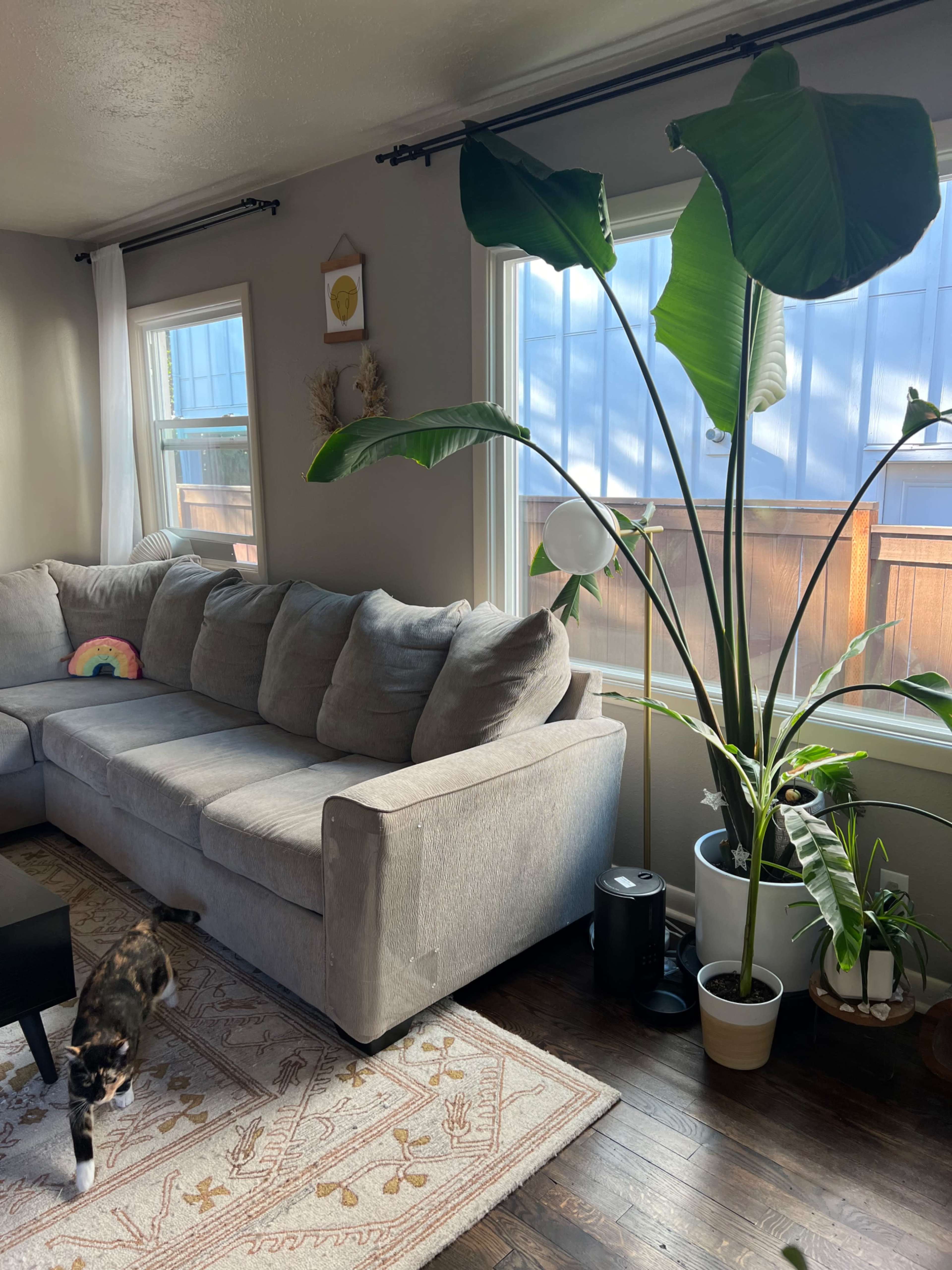 NE Craftsman Gem Image in Northeast Portland, Portland, OR