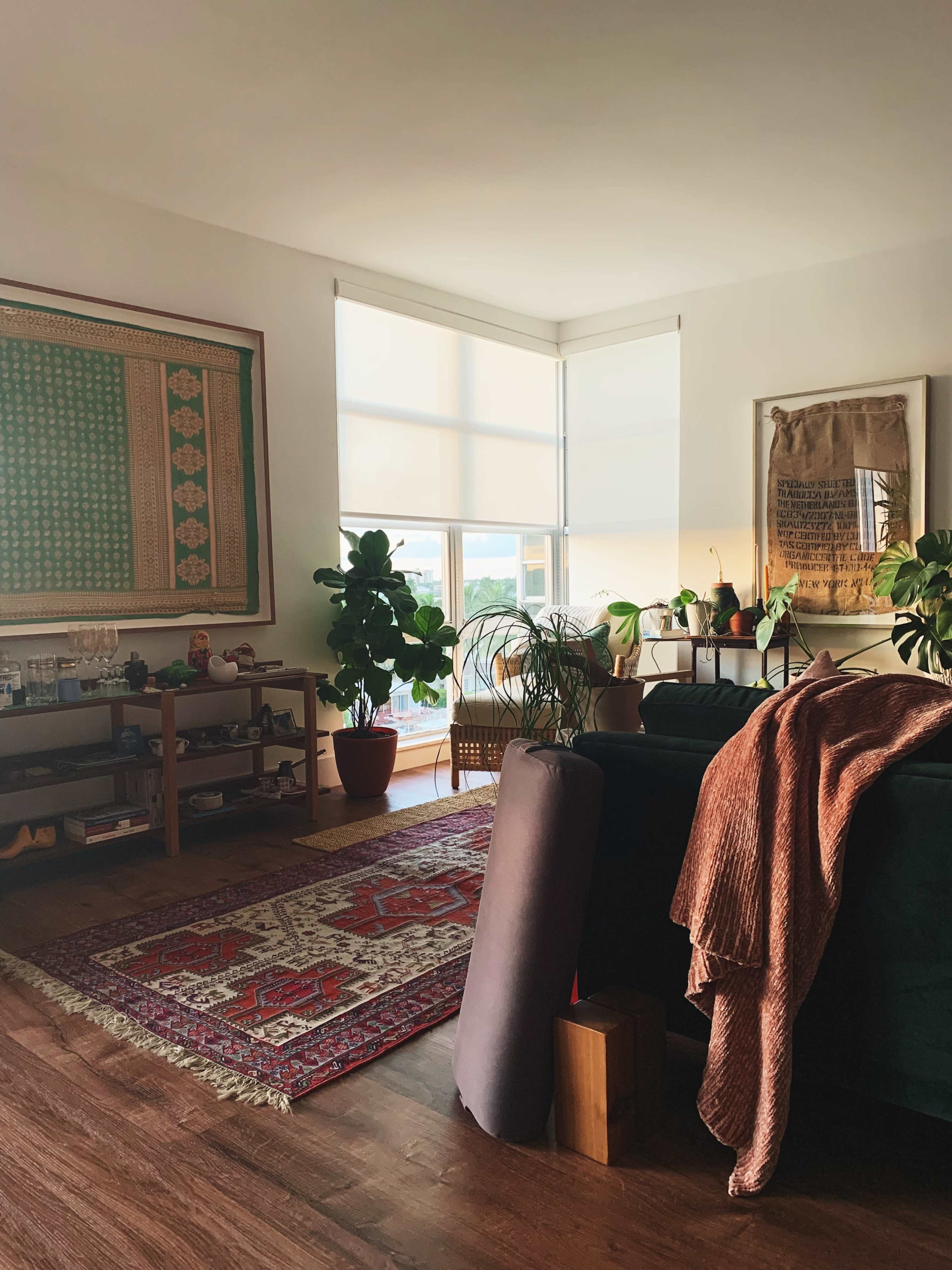 A cozy living room features a patterned rug, a large green plant, and sunlight streaming through the window.