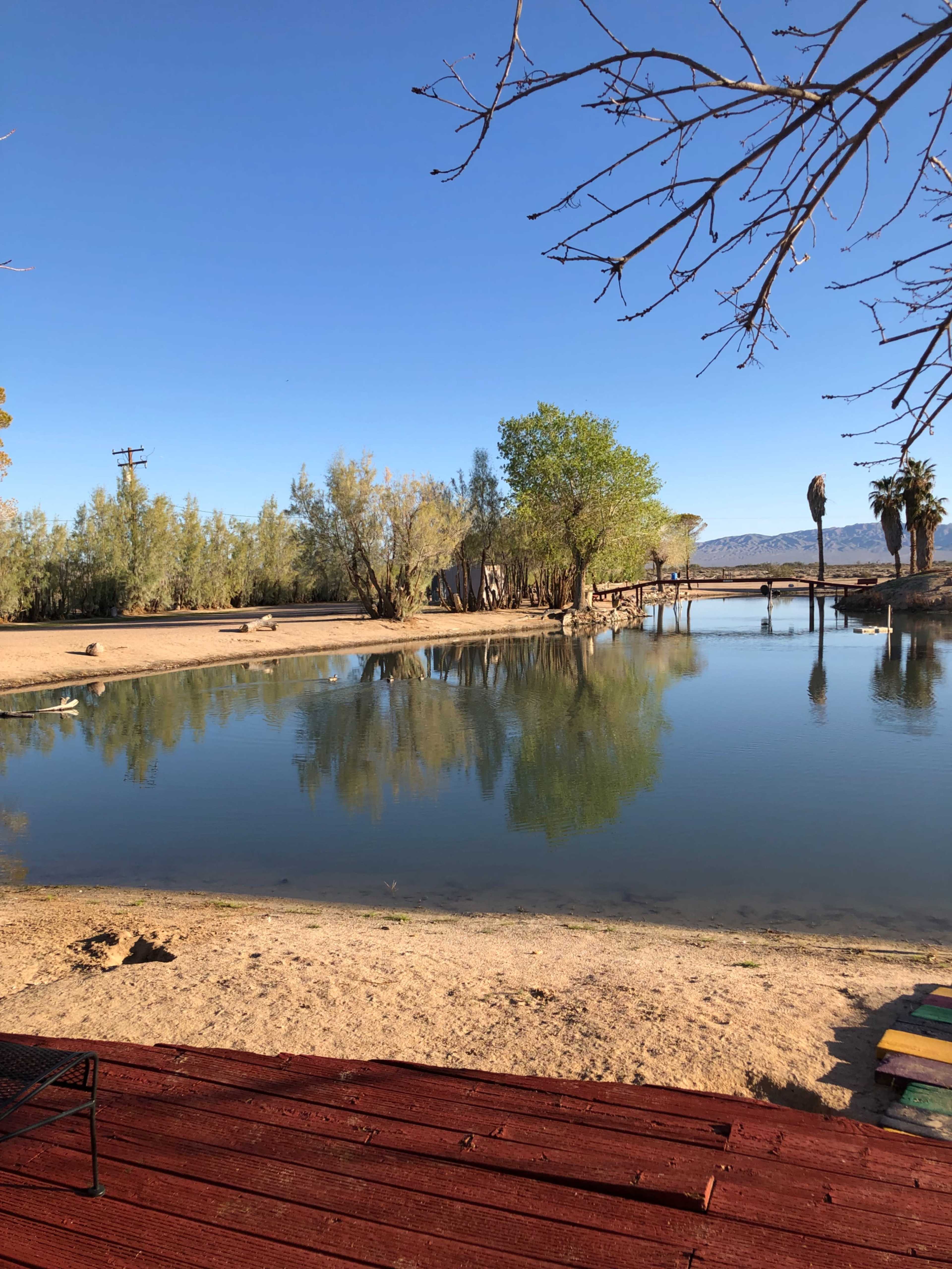 The image shows a calm pond surrounded by trees and a sandy shore, with a wooden deck in the foreground.