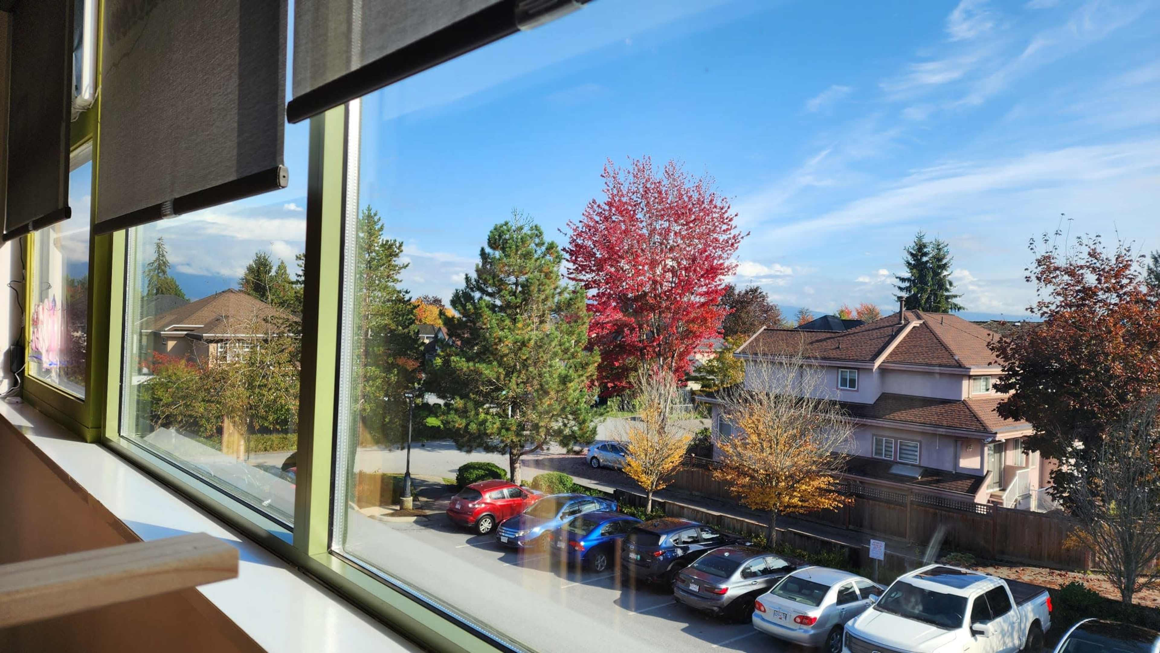 A view from a window shows a neighborhood with several parked cars and a vibrant red tree against a backdrop of blue sky and distant mountains.
