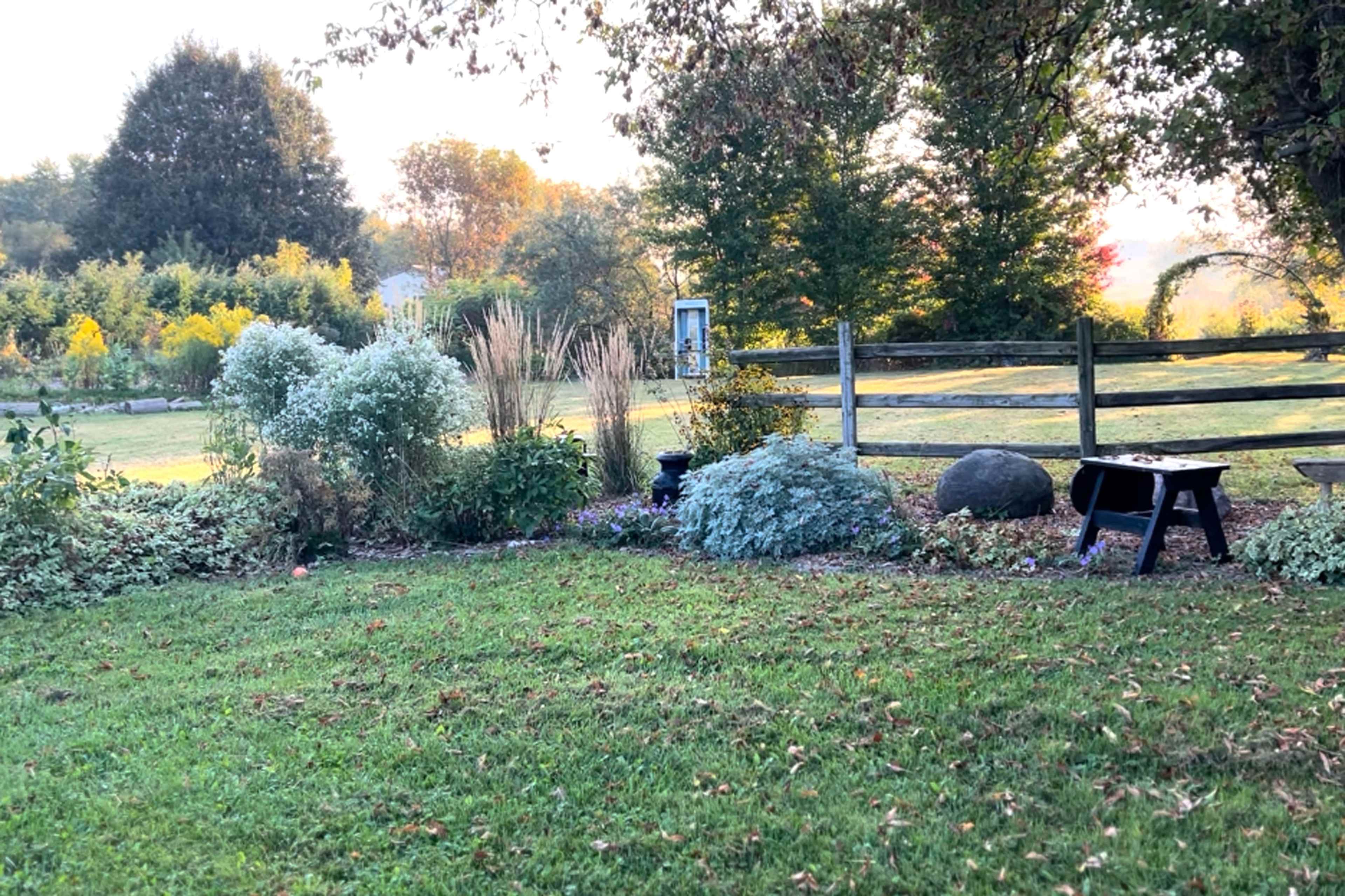 The image shows a landscaped garden area with various plants, a stone, a small bench, and a wooden fence in the background.
