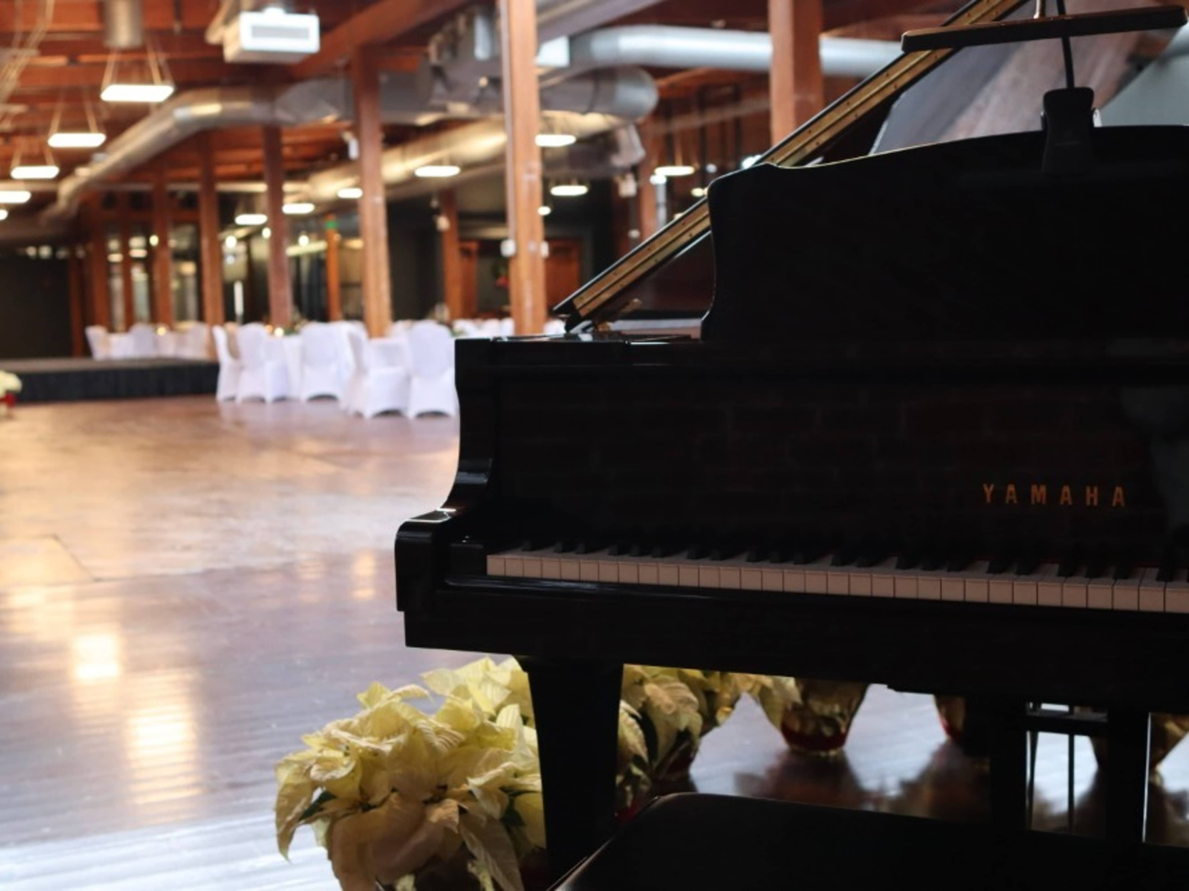 Grand Piano