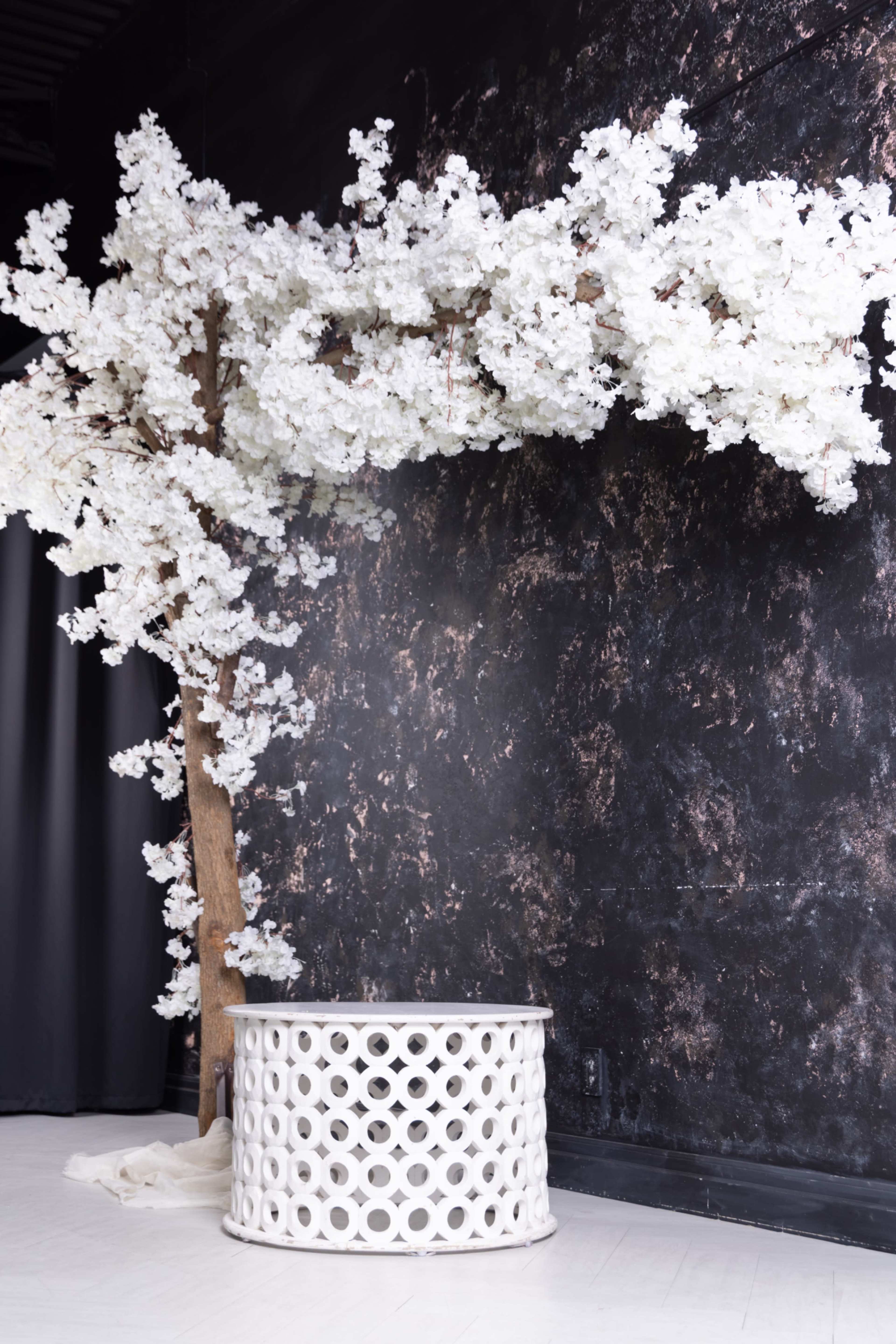 Purity Room Image in Mississauga, Mississauga,, ON