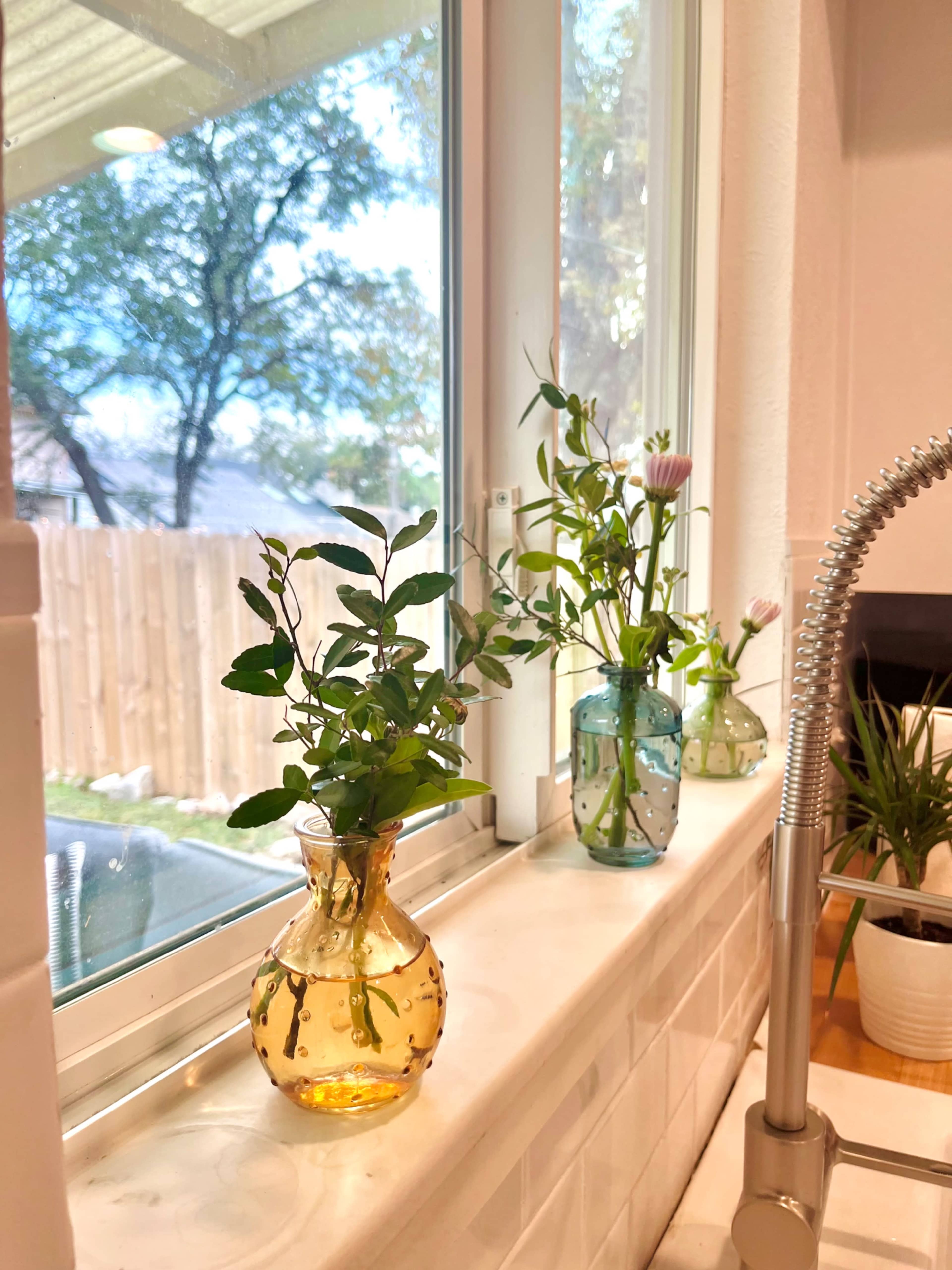 A row of colorful glass vases with green plants is displayed on a windowsill beside a kitchen sink.