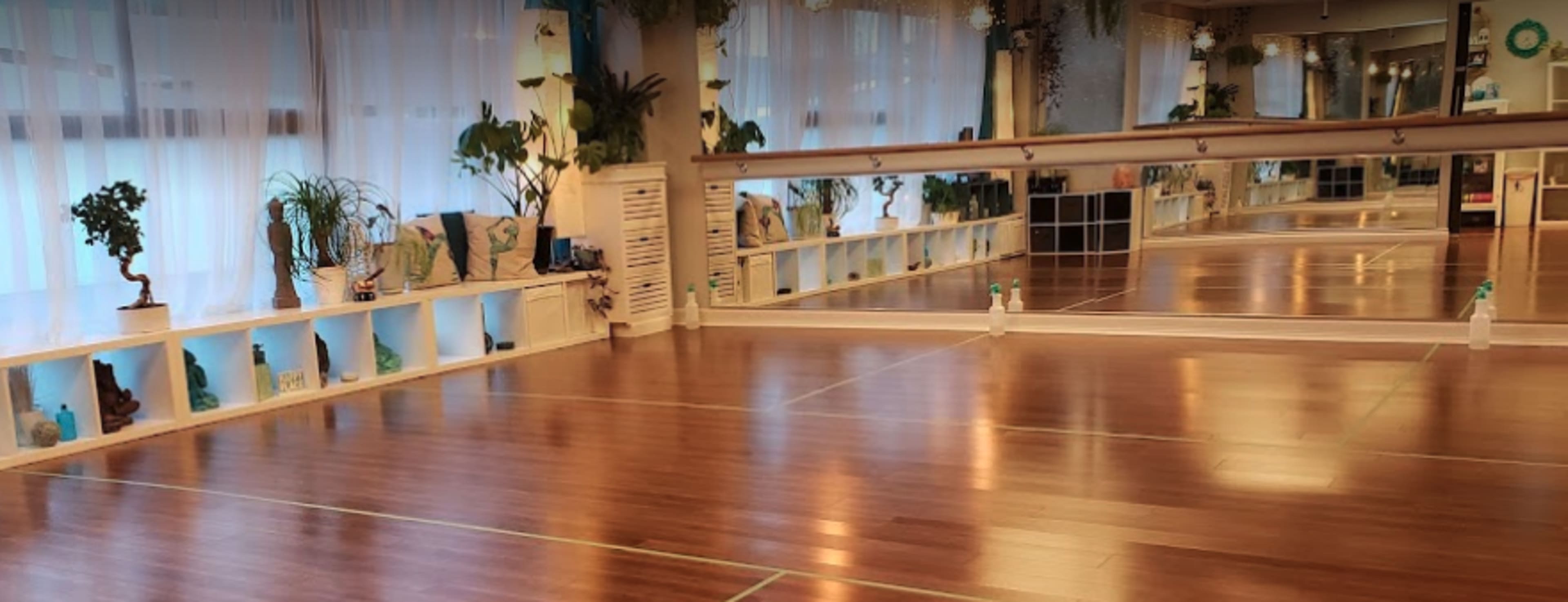 A spacious dance studio with wooden flooring, large mirrors, and potted plants along the walls.