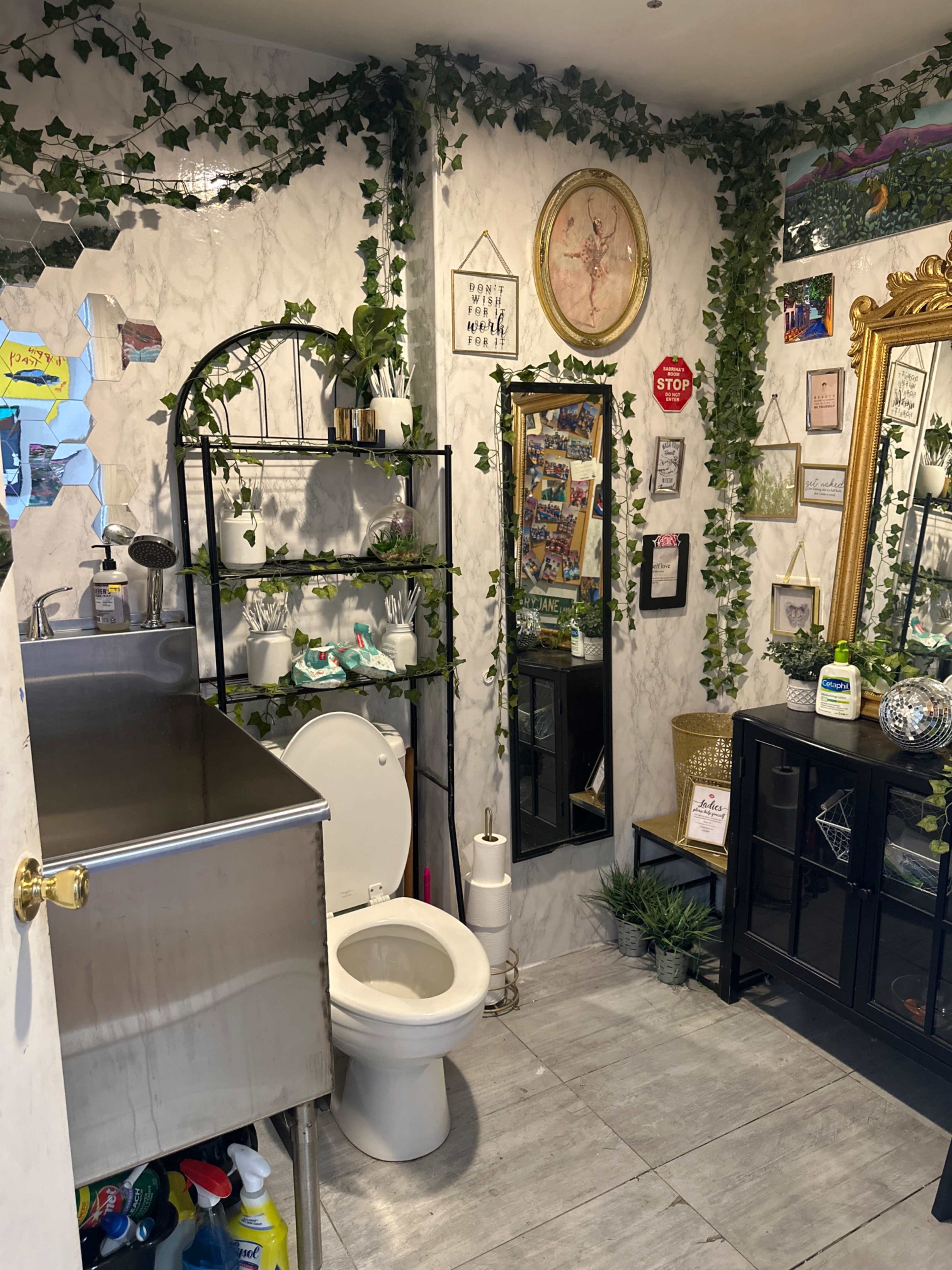 The bathroom features a toilet, a metal sink, and shelves adorned with decorative plants along the walls.