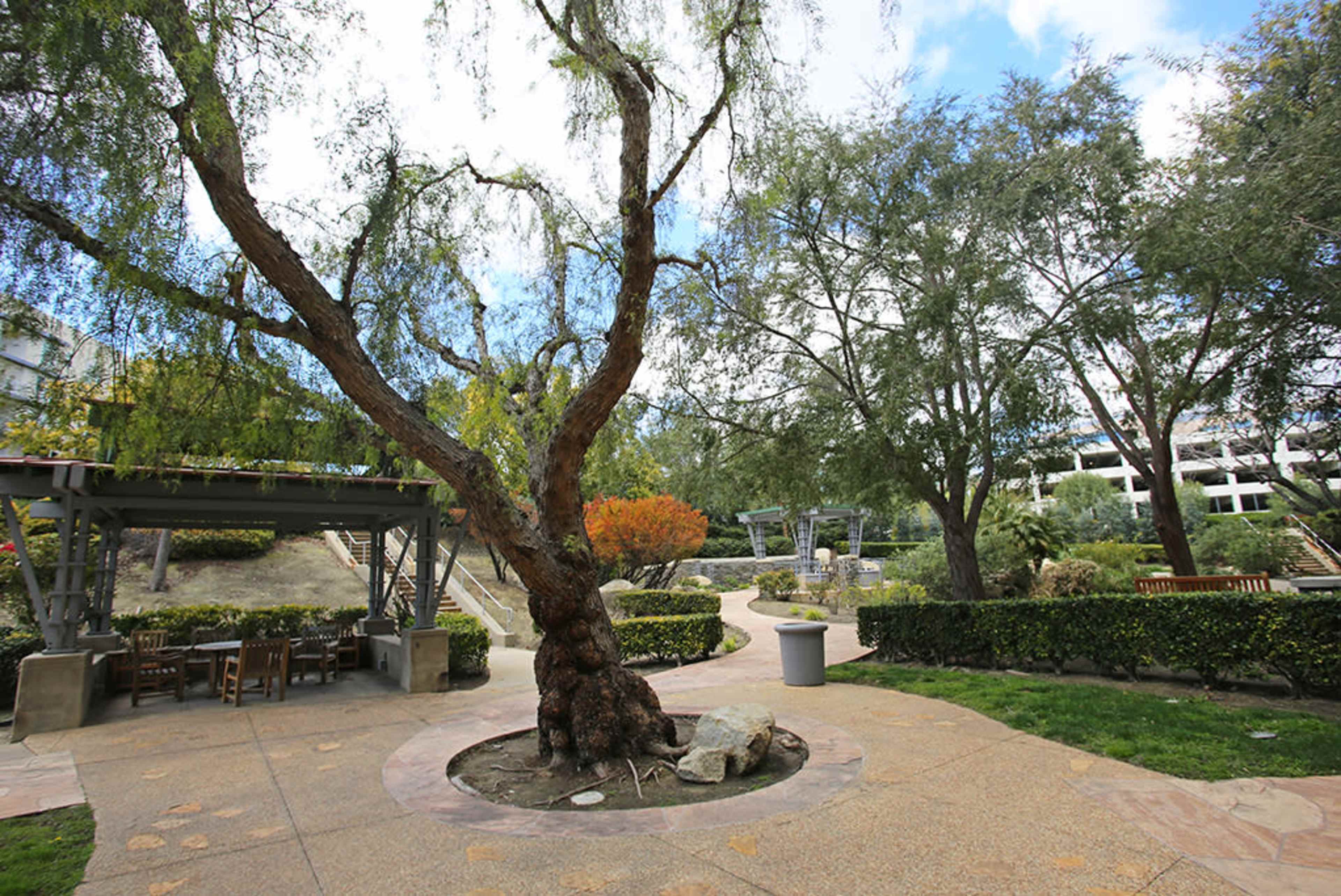 6 Person Conference Room Image in Aliso Viejo, Aliso Viejo, CA