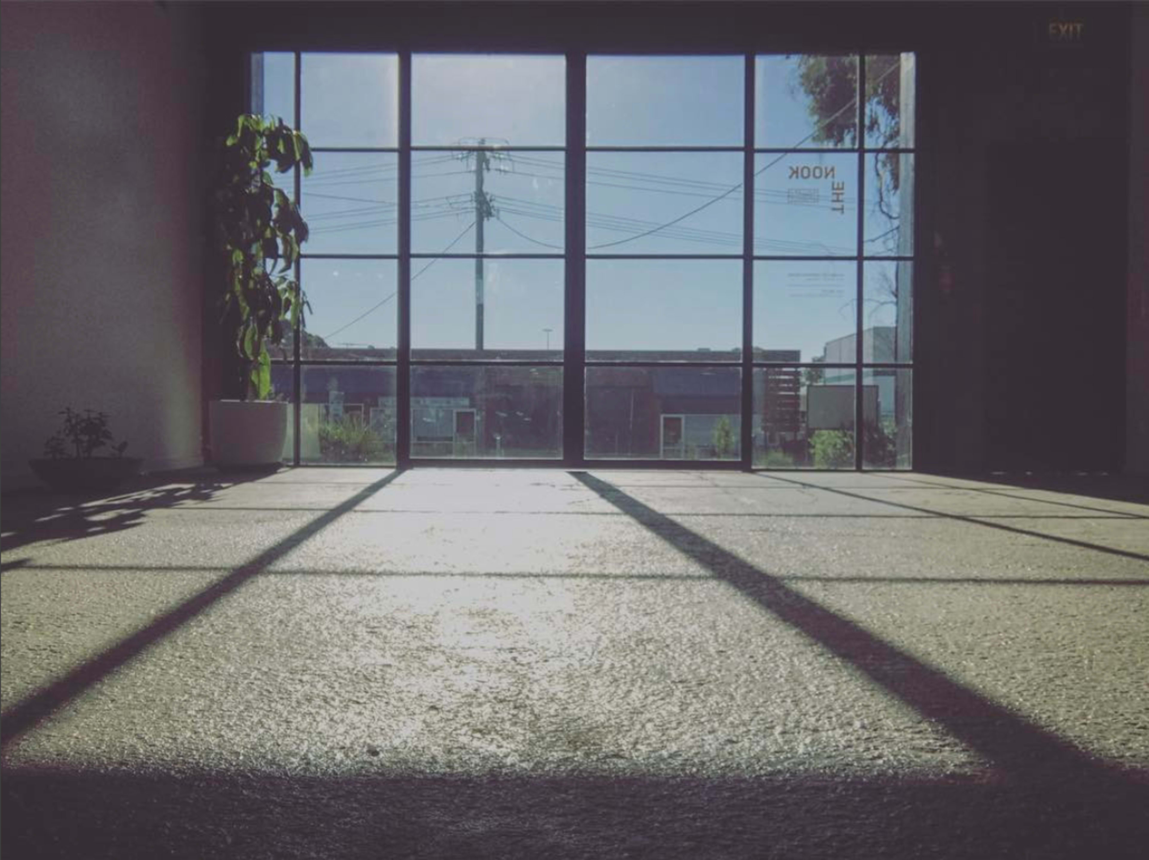 The image shows a sunlit interior space with a large window, a potted plant in the foreground, and shadows cast on the floor.