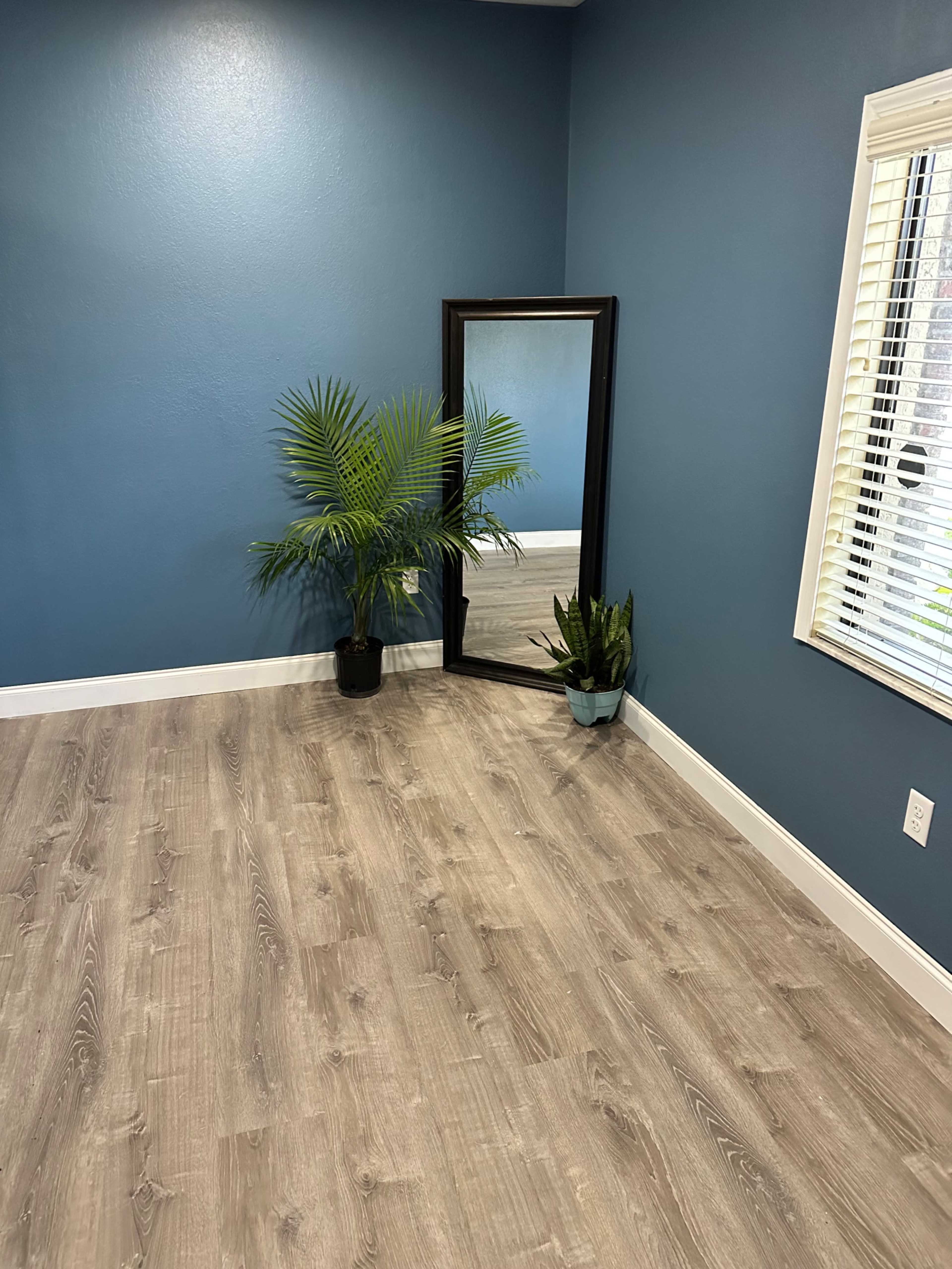 A room with blue walls, a large mirror, a potted plant, and light wooden flooring.