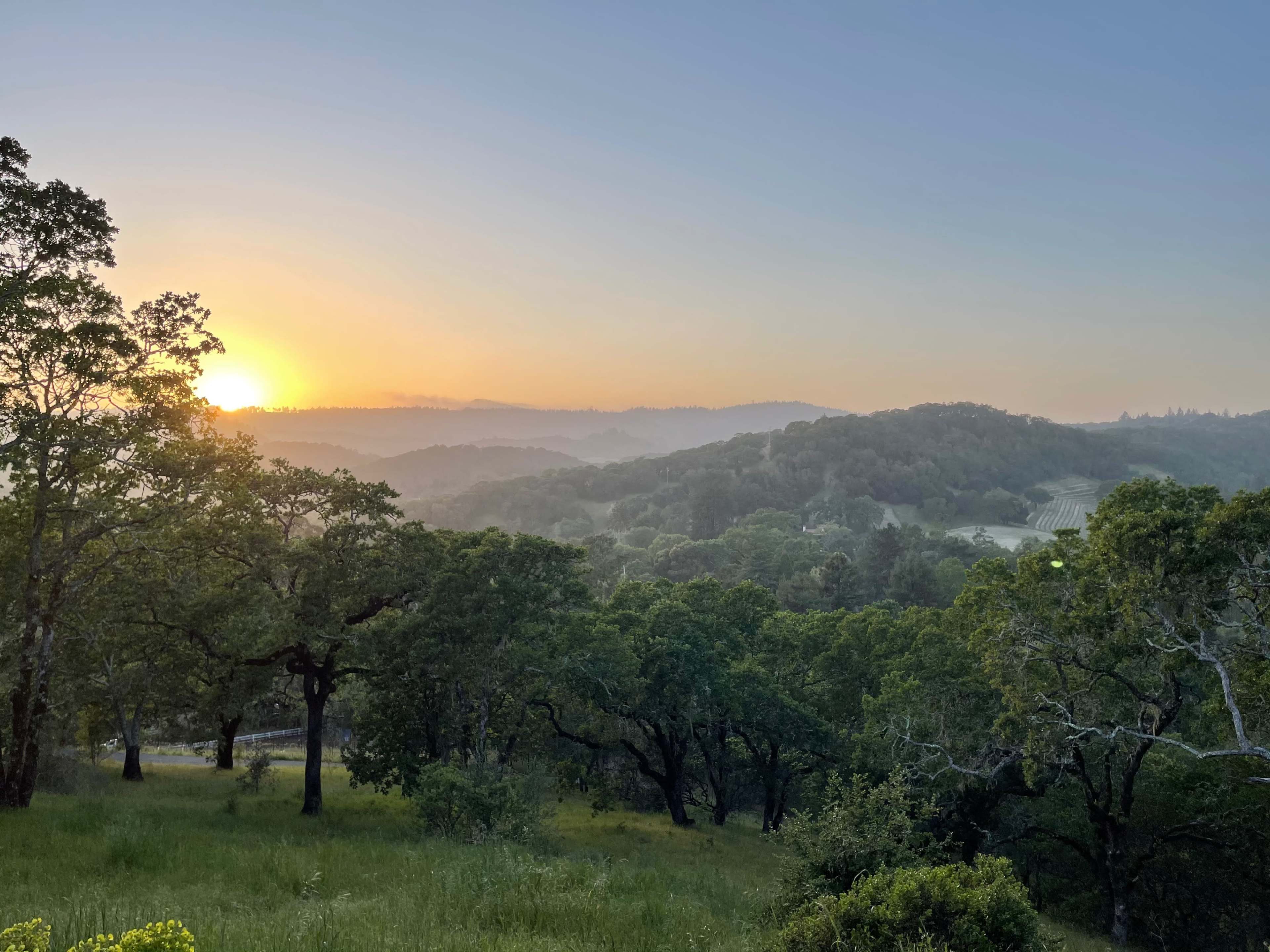 The sun rises over rolling hills, casting light on a landscape dotted with trees and gently sloping terrain.
