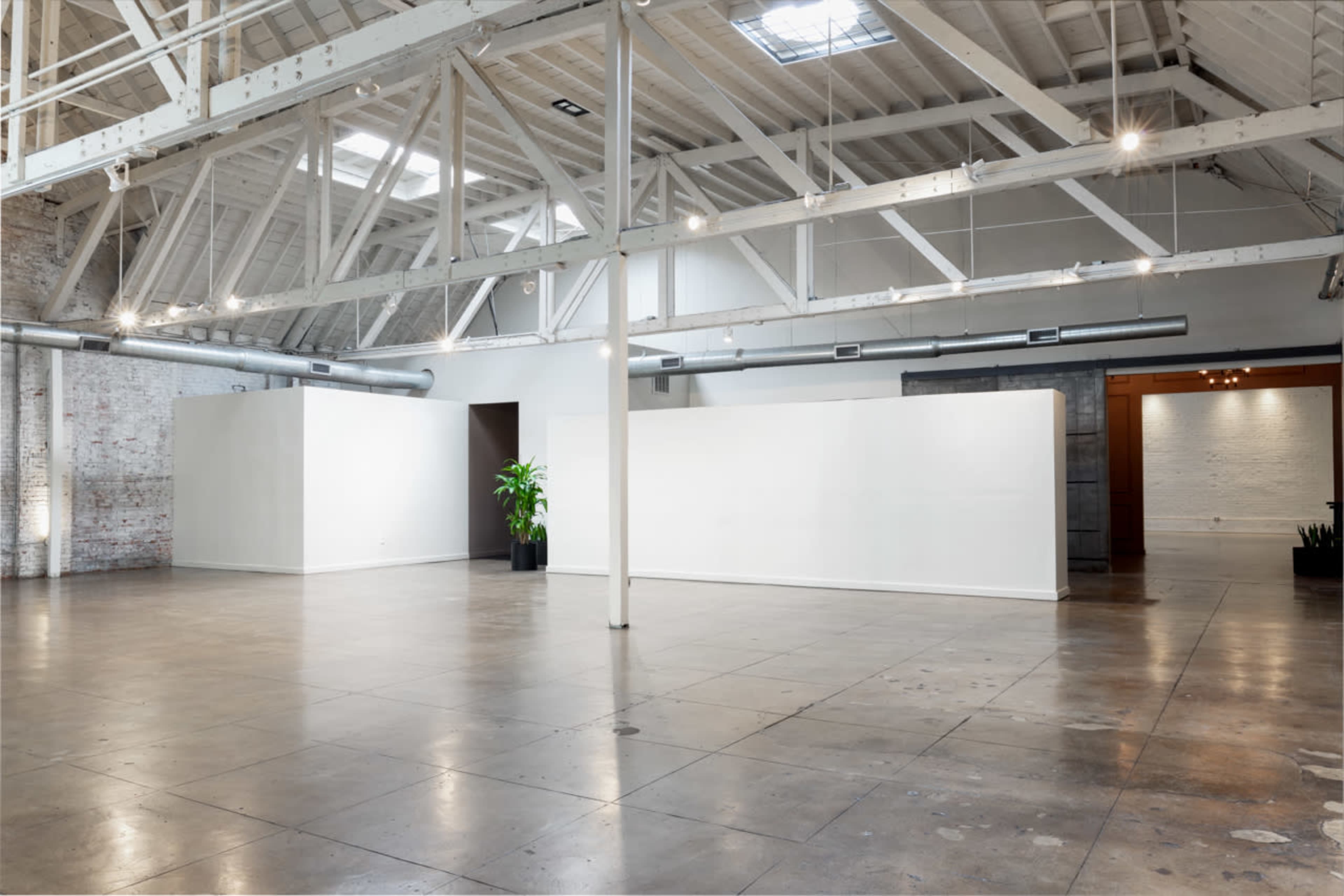 The image shows a spacious, minimalistic interior with white walls, high ceilings, concrete flooring, and a single plant in a corner.