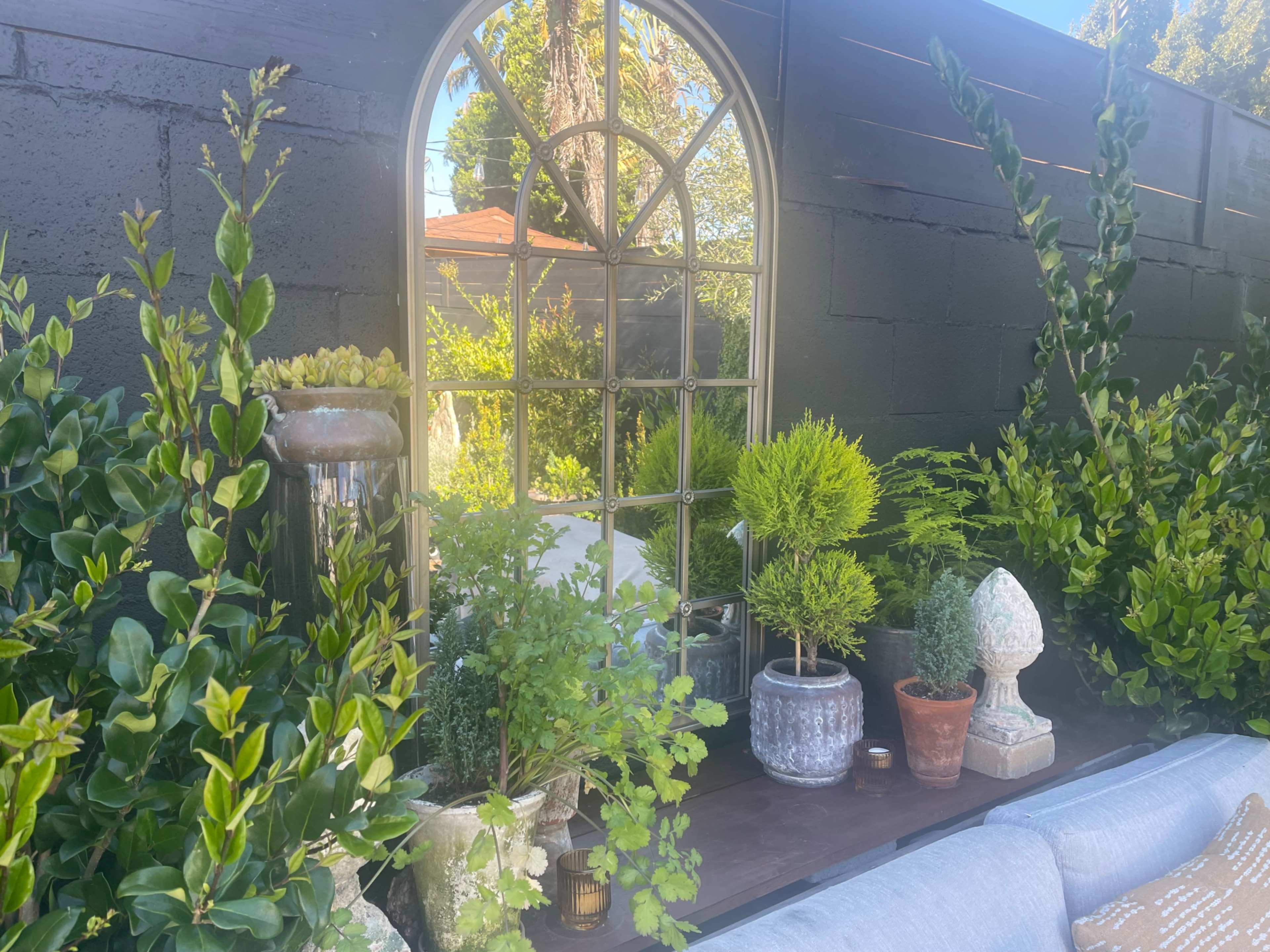 A garden scene featuring a decorative mirror surrounded by various potted plants and greenery against a dark wall.