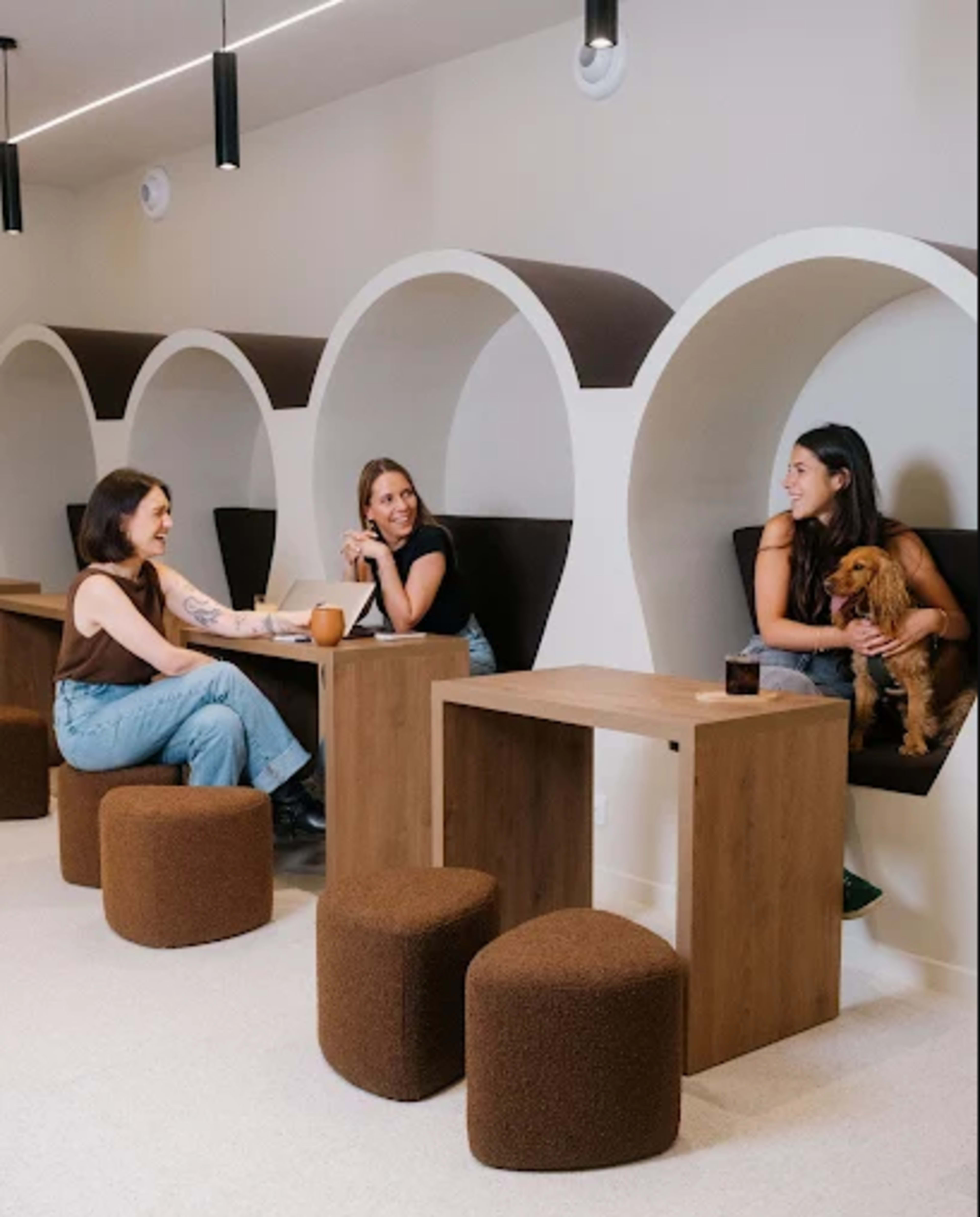 Lieu de vie Dog Friendly - Café de 200m2 et parc pour chien de 250m2  (piscine à balle, mûr de jouets, toboggan, niche géante) Image in Batignolles, Paris