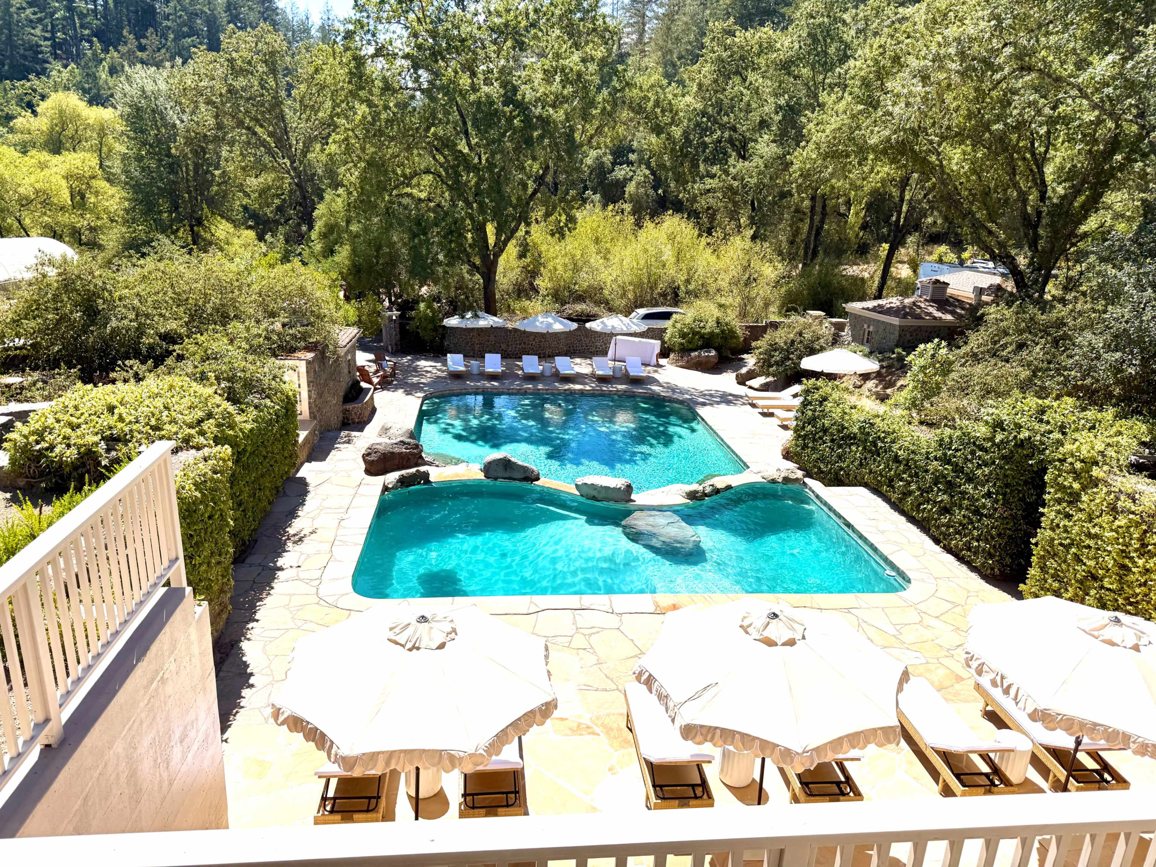 The image shows a swimming pool surrounded by lush greenery, with sun loungers and umbrellas arranged neatly on the poolside.