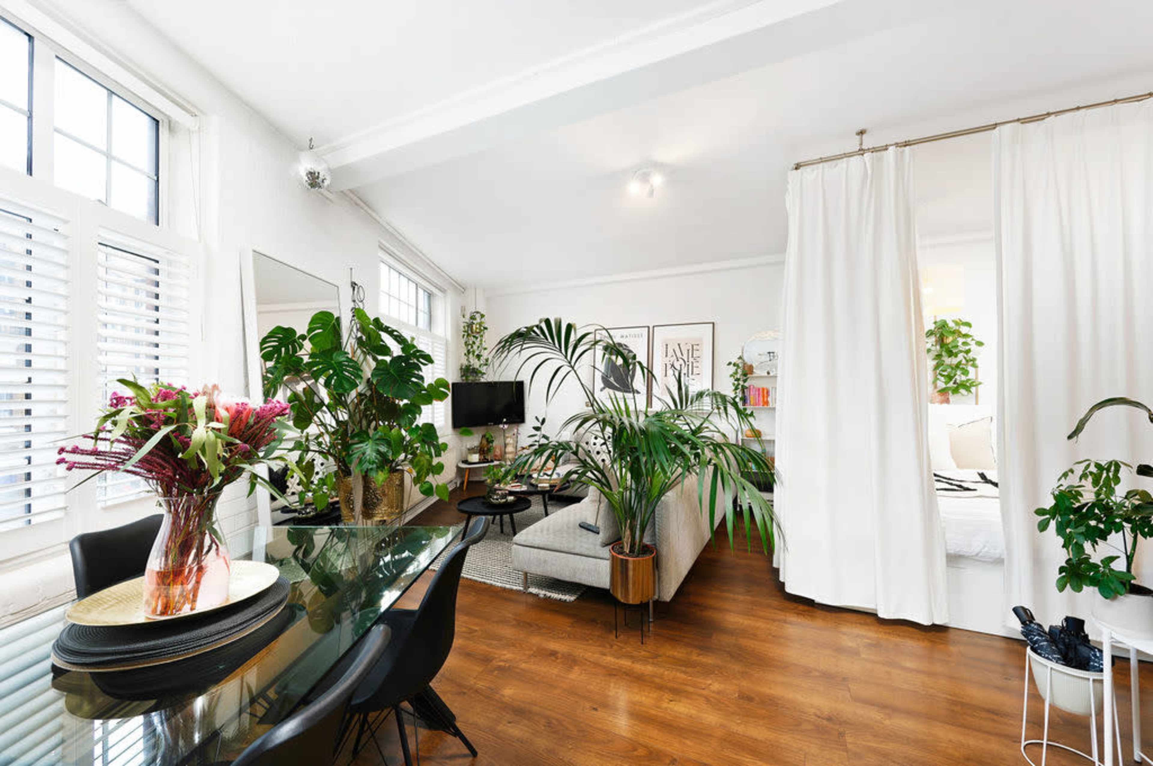 A bright living space featuring a dining area with a black table, a sofa surrounded by various indoor plants, and a curtain separating it from a bedroom area.