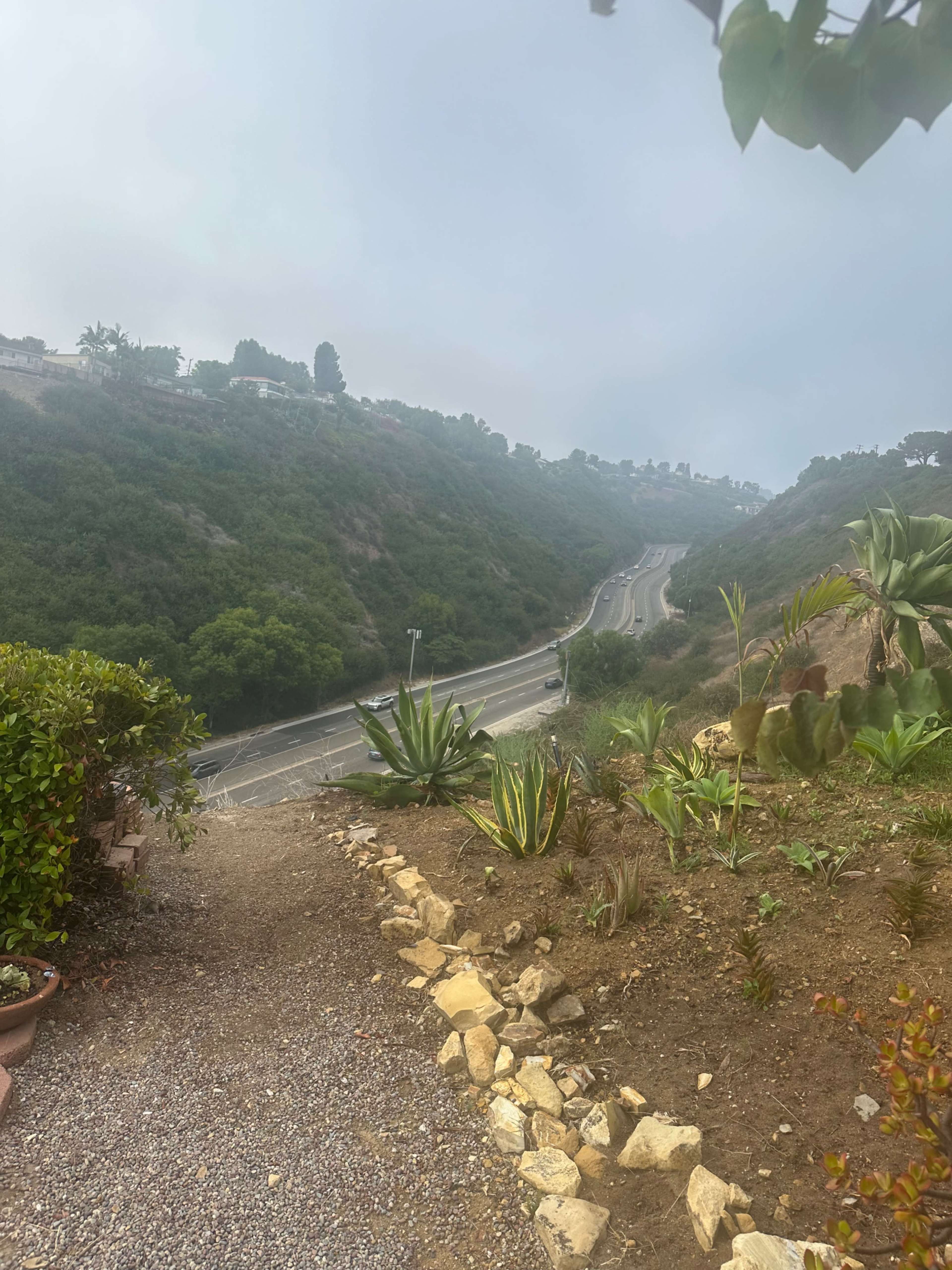 City light , Lax Airport, part ocean Image in , Palos Verdes Peninsula, CA
