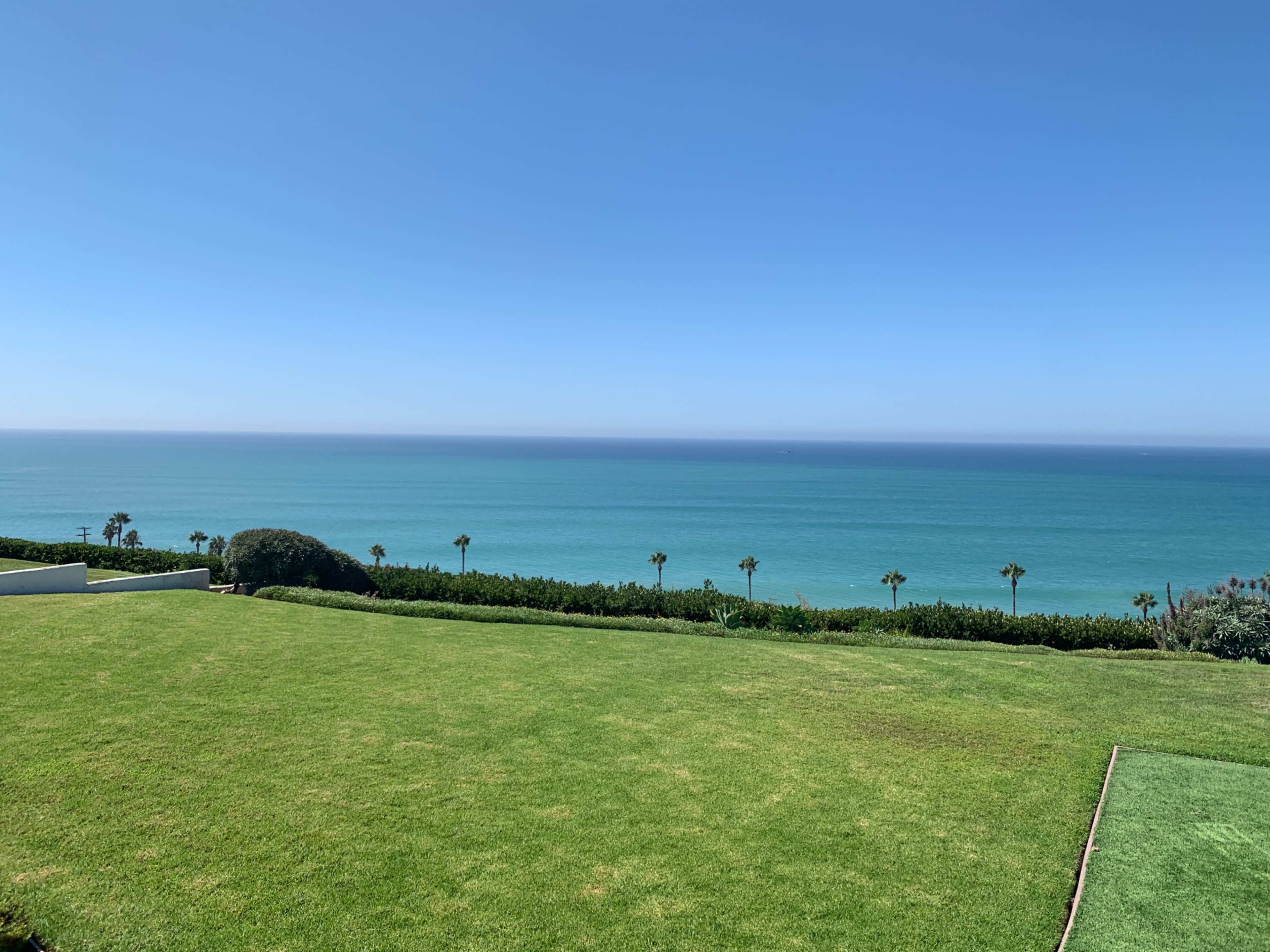 The image shows a clear blue ocean view with a green lawn in the foreground and palm trees lining the shoreline.