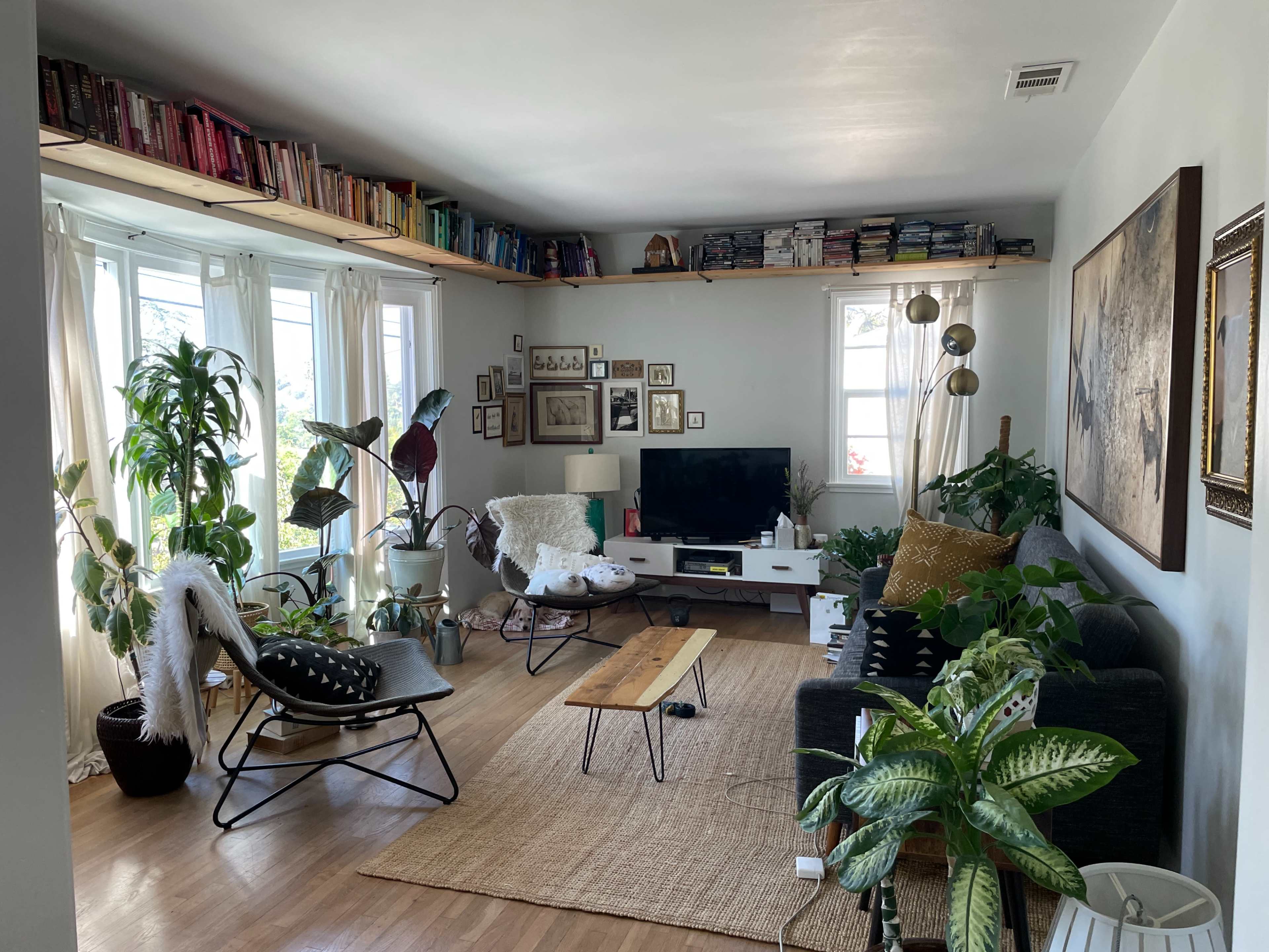A cozy living room features a gray sofa, a wooden coffee table, shelves filled with books, plants, and a television.