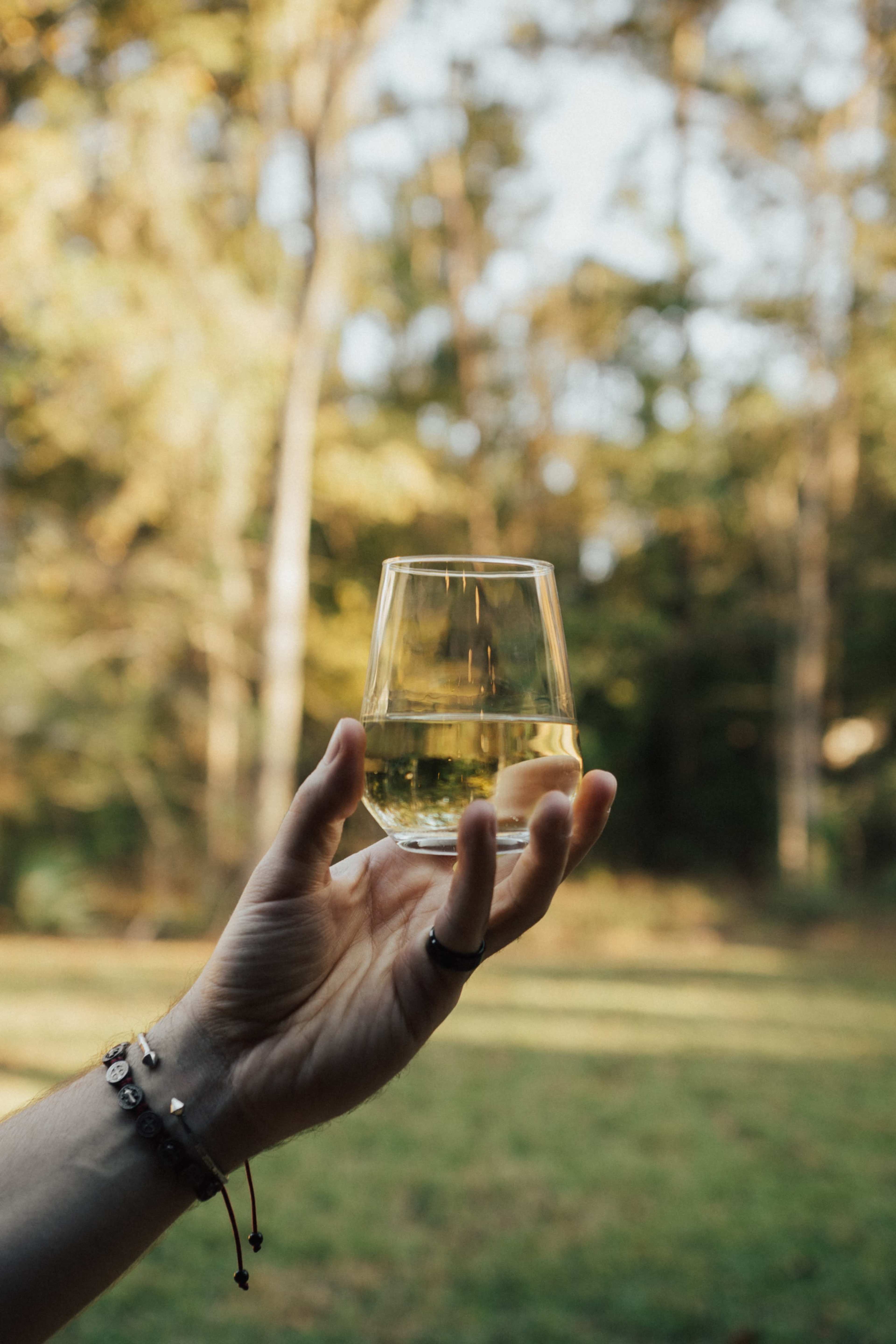 A hand holds a clear glass filled with water against a blurred background of trees and grass.