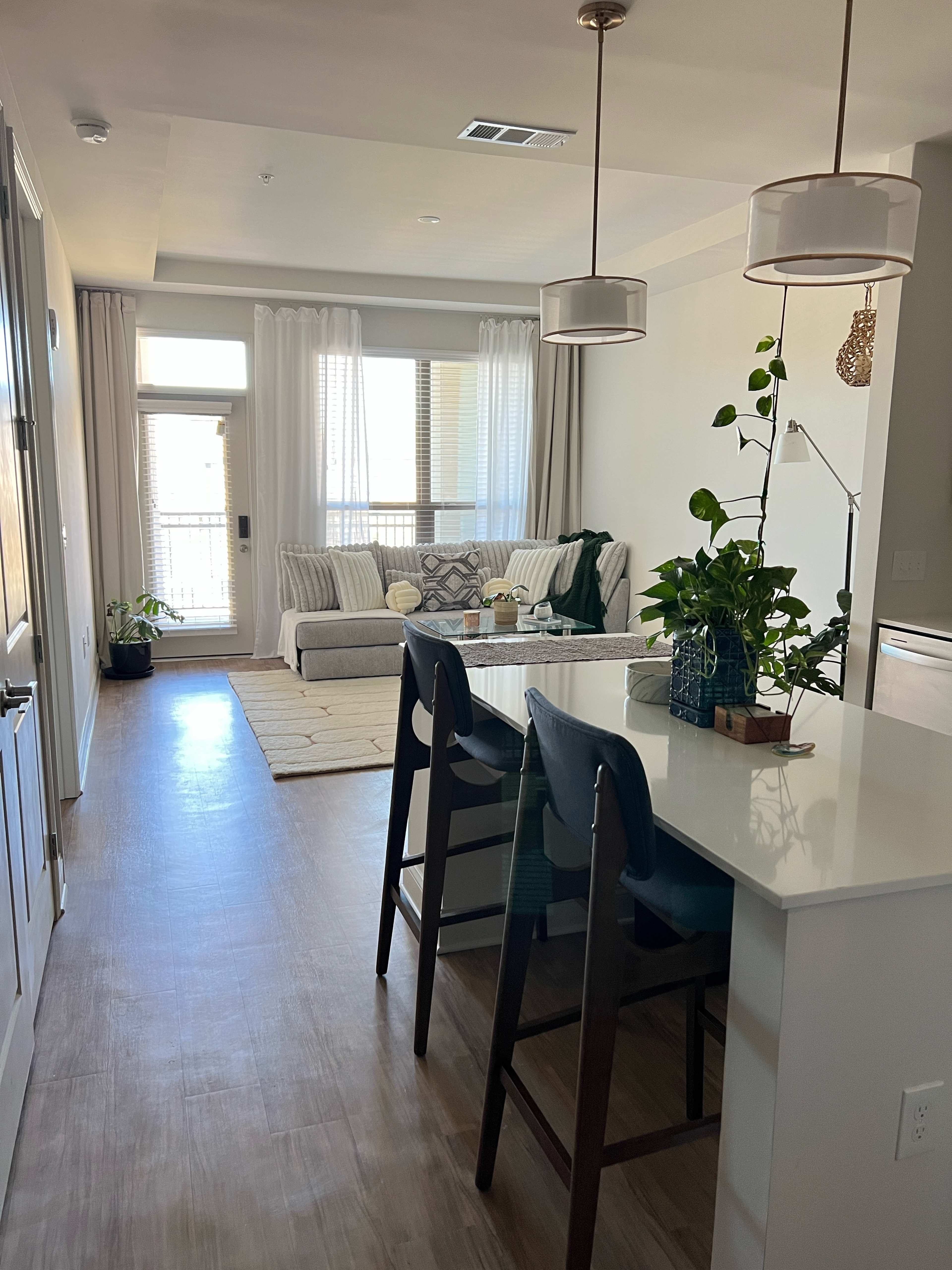 Woodstock Luxury Flat Image in , Woodstock, GA