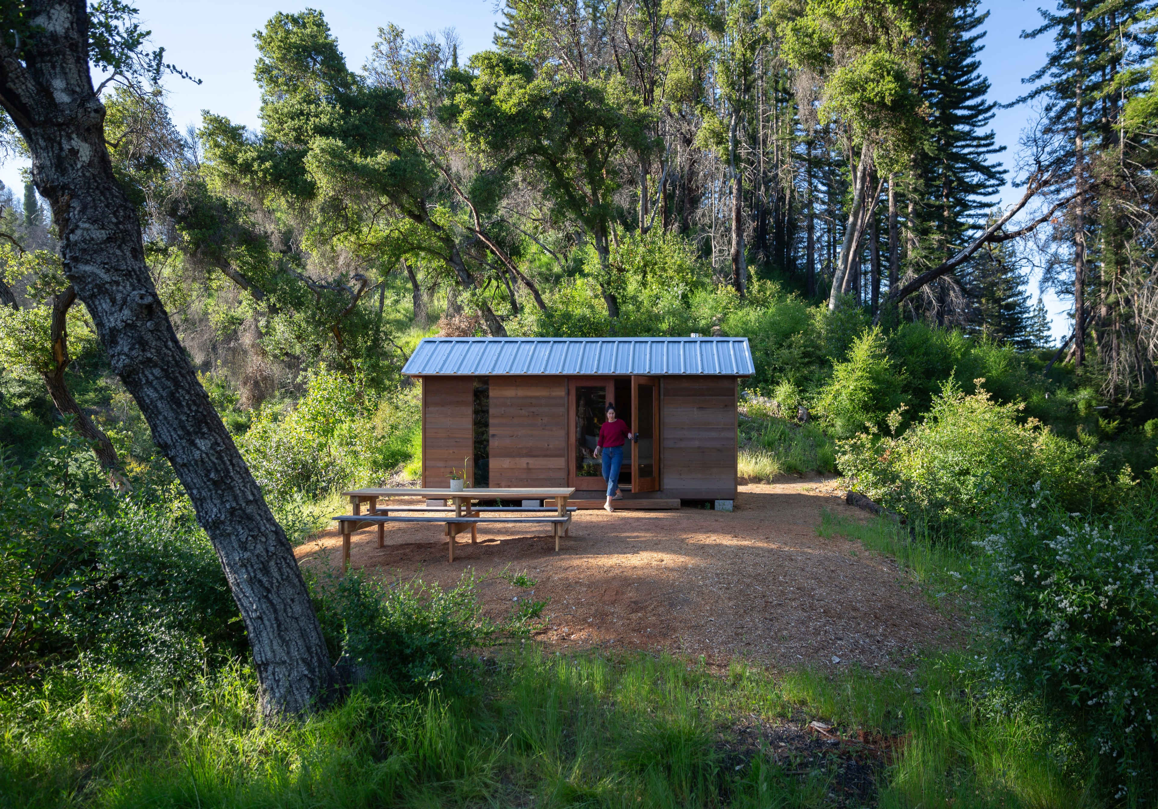 A wooden cabin with a metal roof is set in a forested area, surrounded by trees and greenery, with a person entering it.