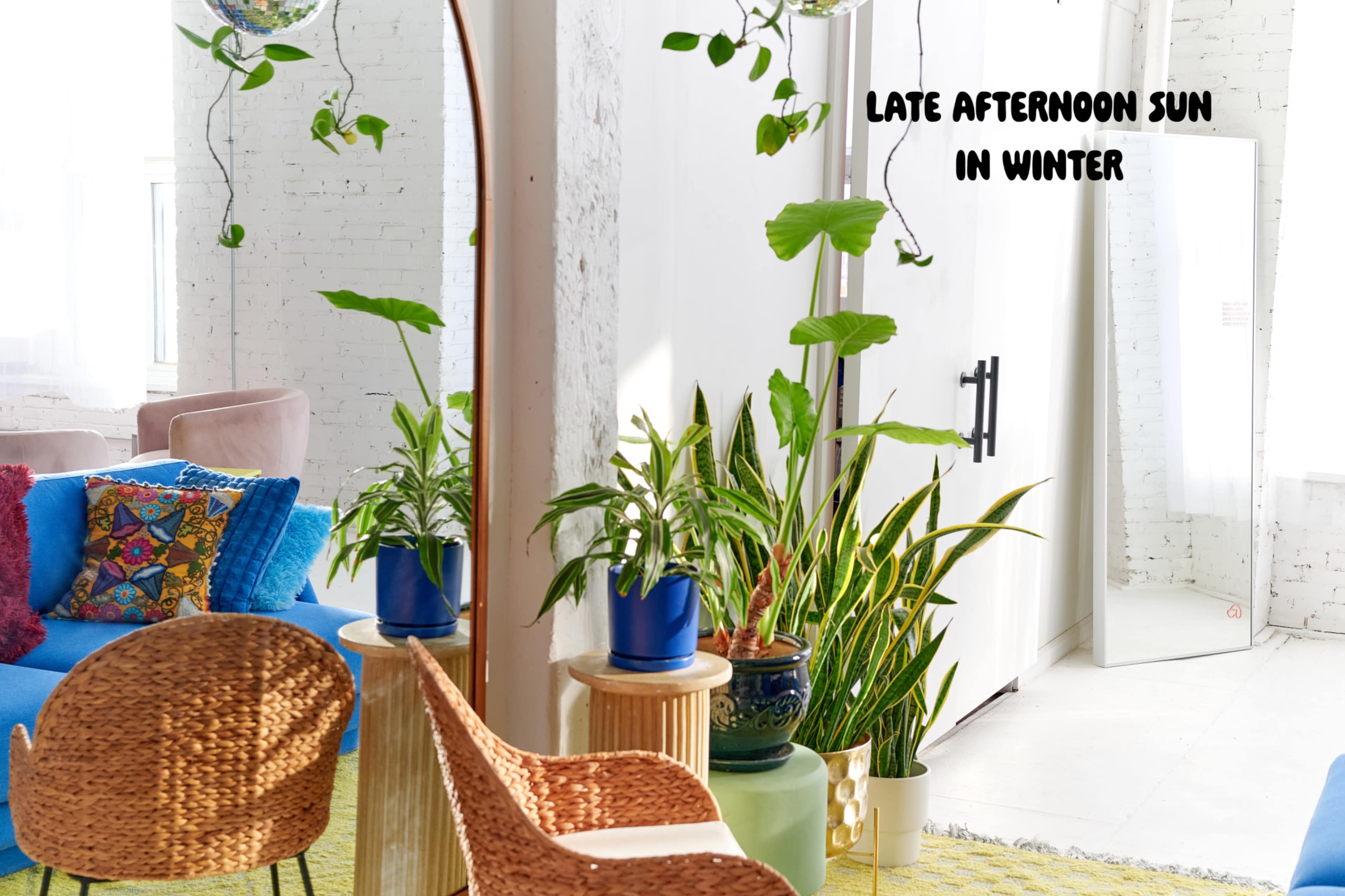 A bright, modern living space features plants, colorful furniture, and a large mirror reflecting the late afternoon sun.