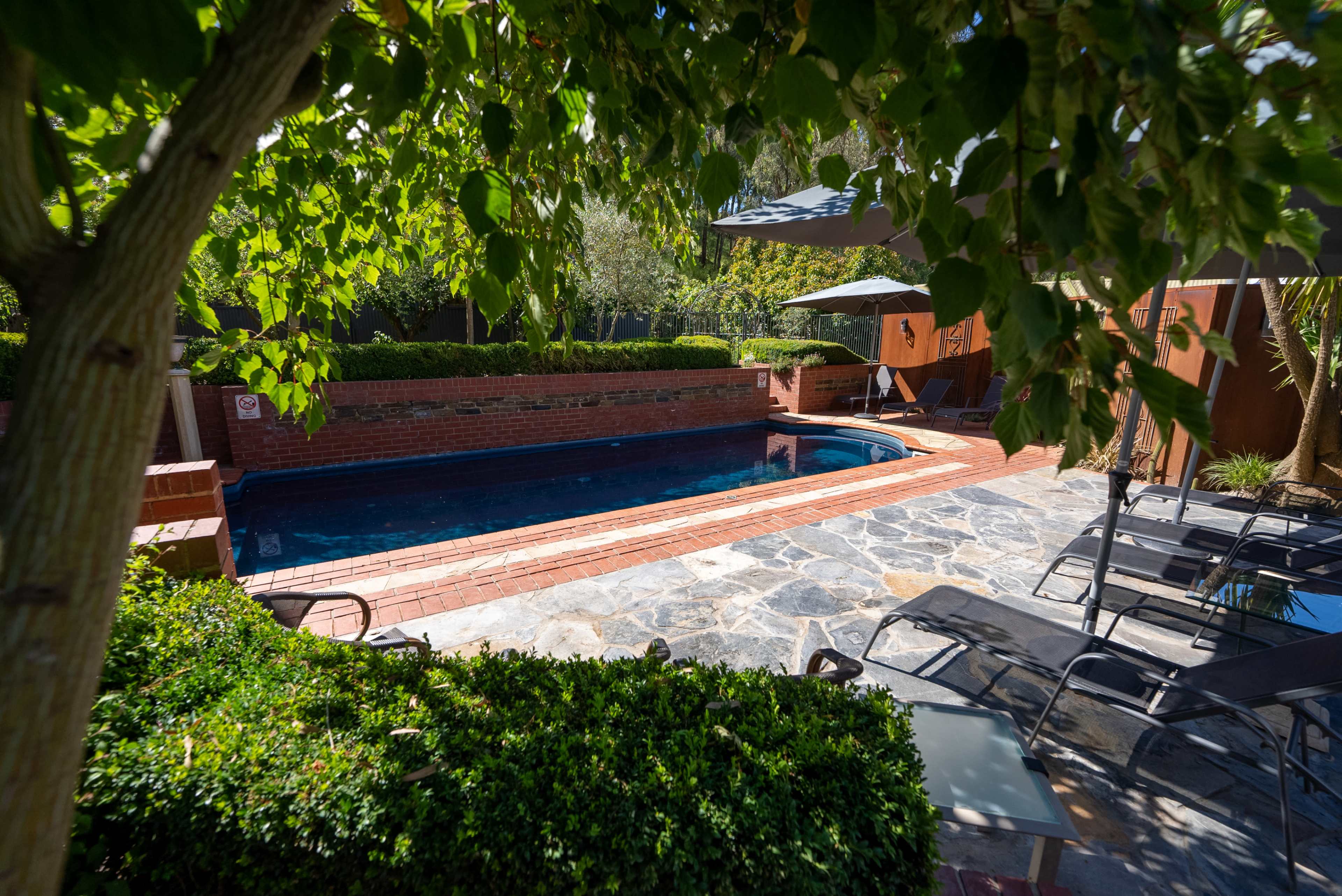 The image shows a backyard scene featuring a rectangular pool surrounded by stone pavers, lounge chairs, and lush greenery.