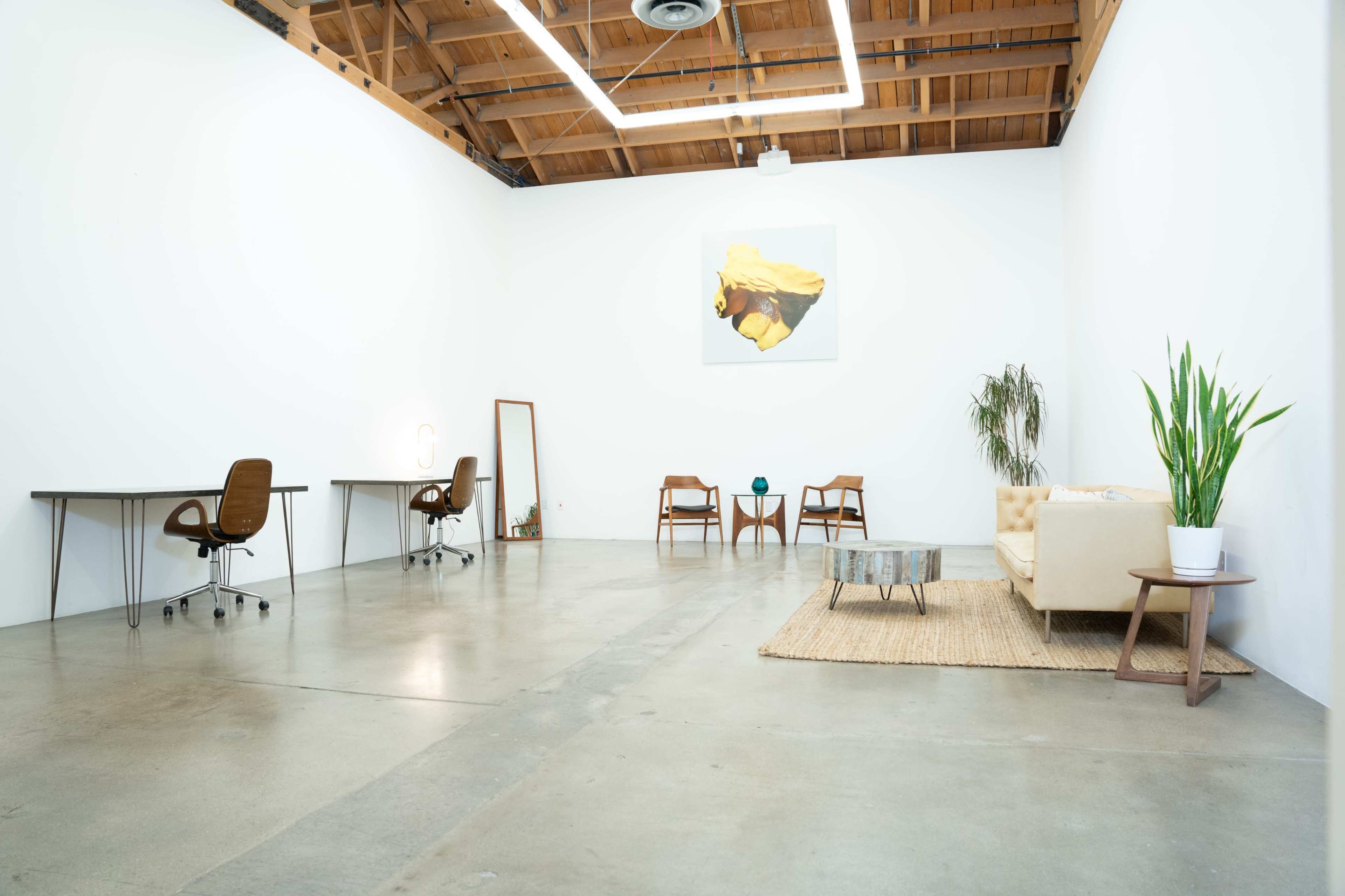 A spacious, minimalist office or studio featuring two desks, a comfortable sofa, a coffee table, and a large plant, set against white walls and a wooden ceiling.