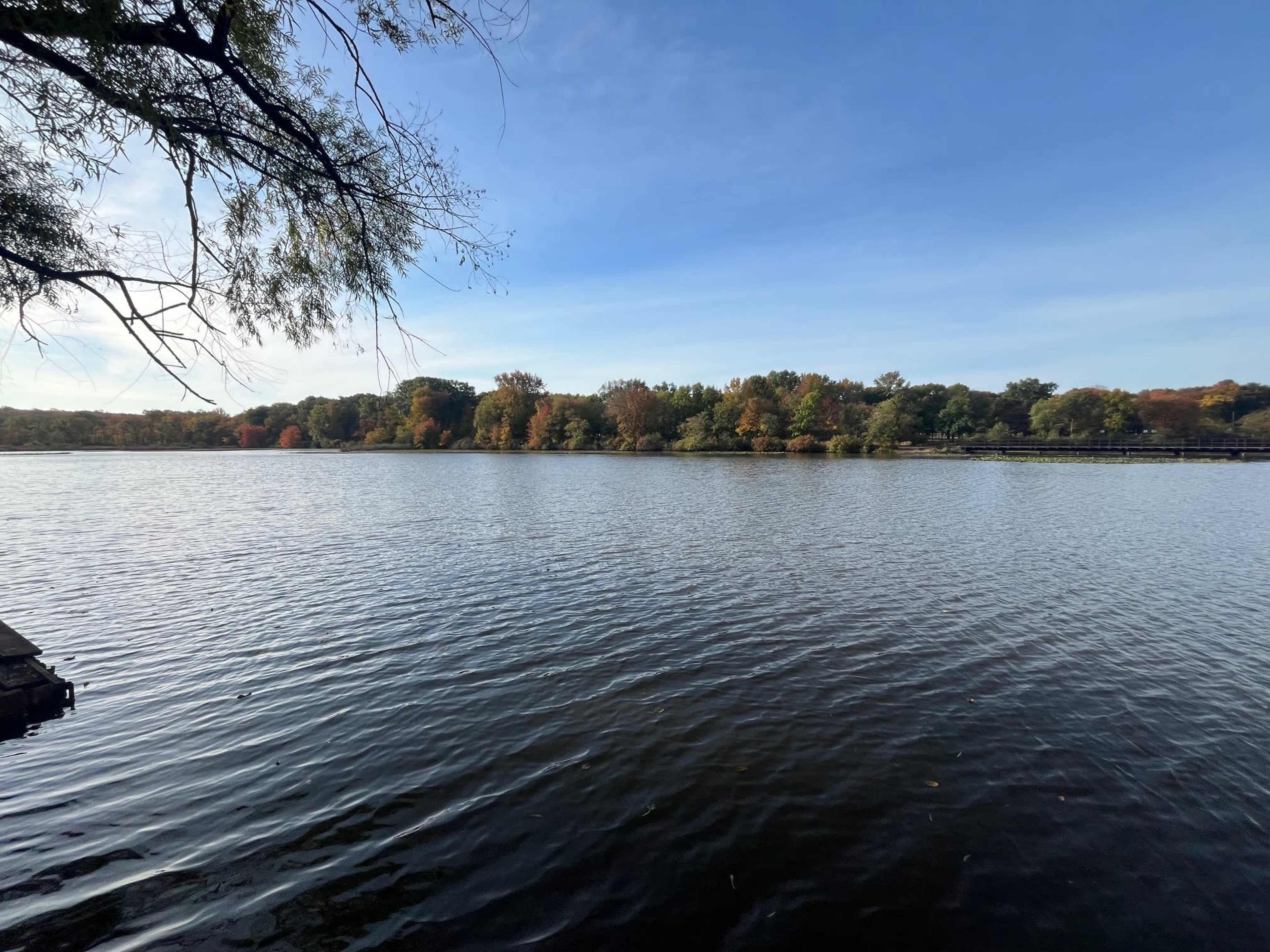 Lakefront Moments - Outdoor Space Image in Jamesburg, Jamesburg, NJ