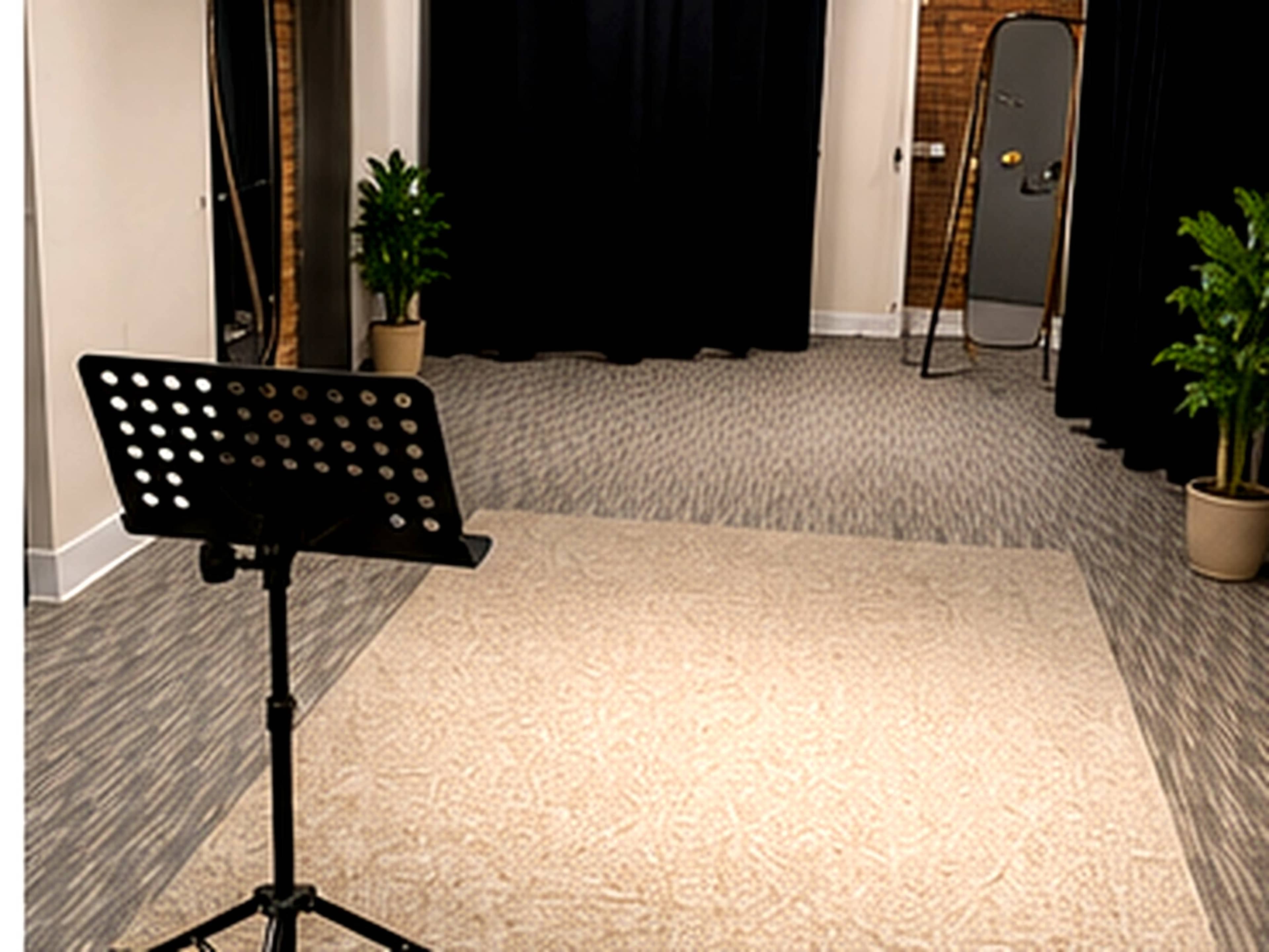 The image shows a sparsely furnished indoor space with a music stand, a mirror, potted plants, and black curtains in the background.