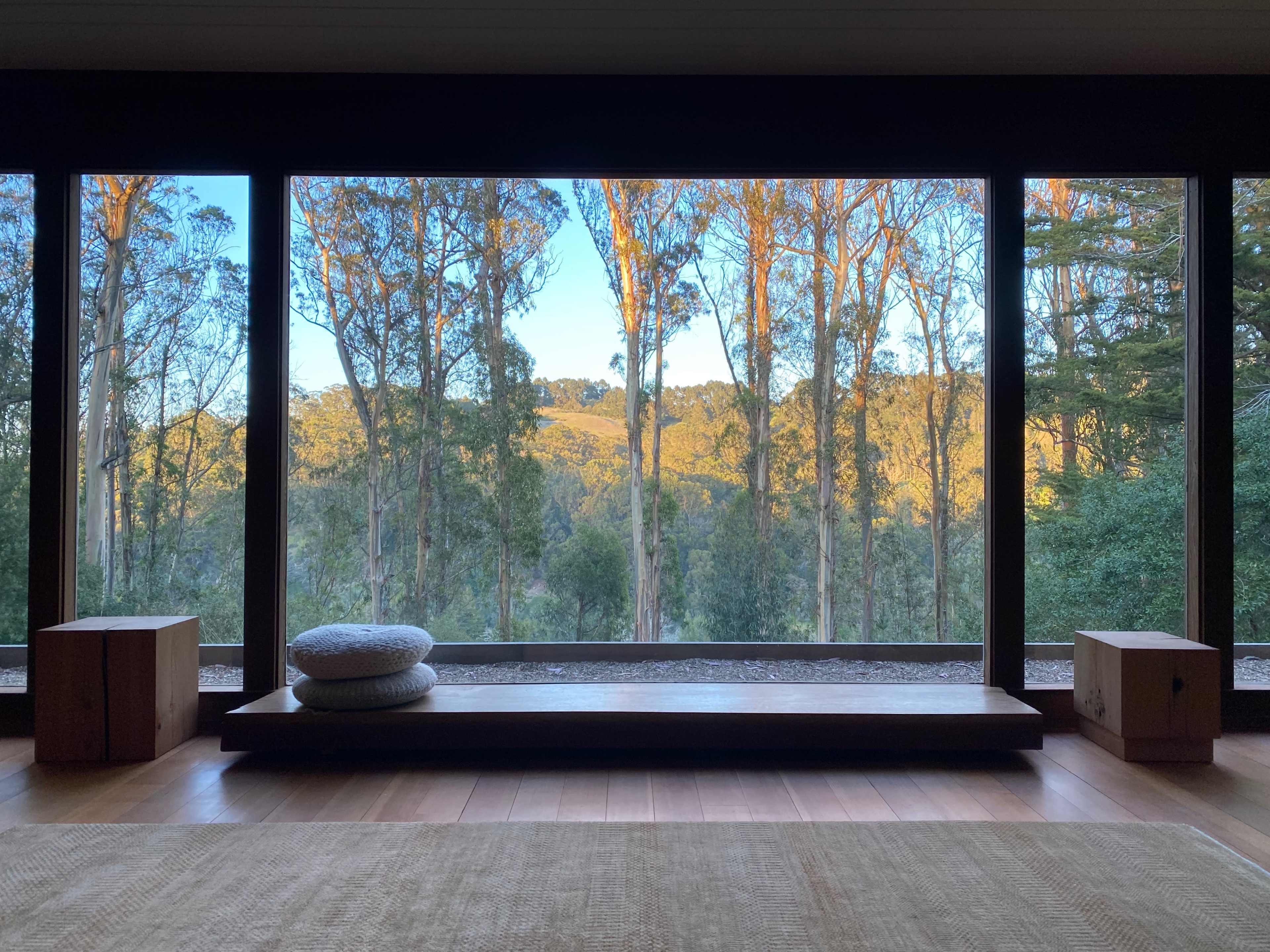 The image shows a spacious room with large windows overlooking a forest of tall trees and rolling hills.