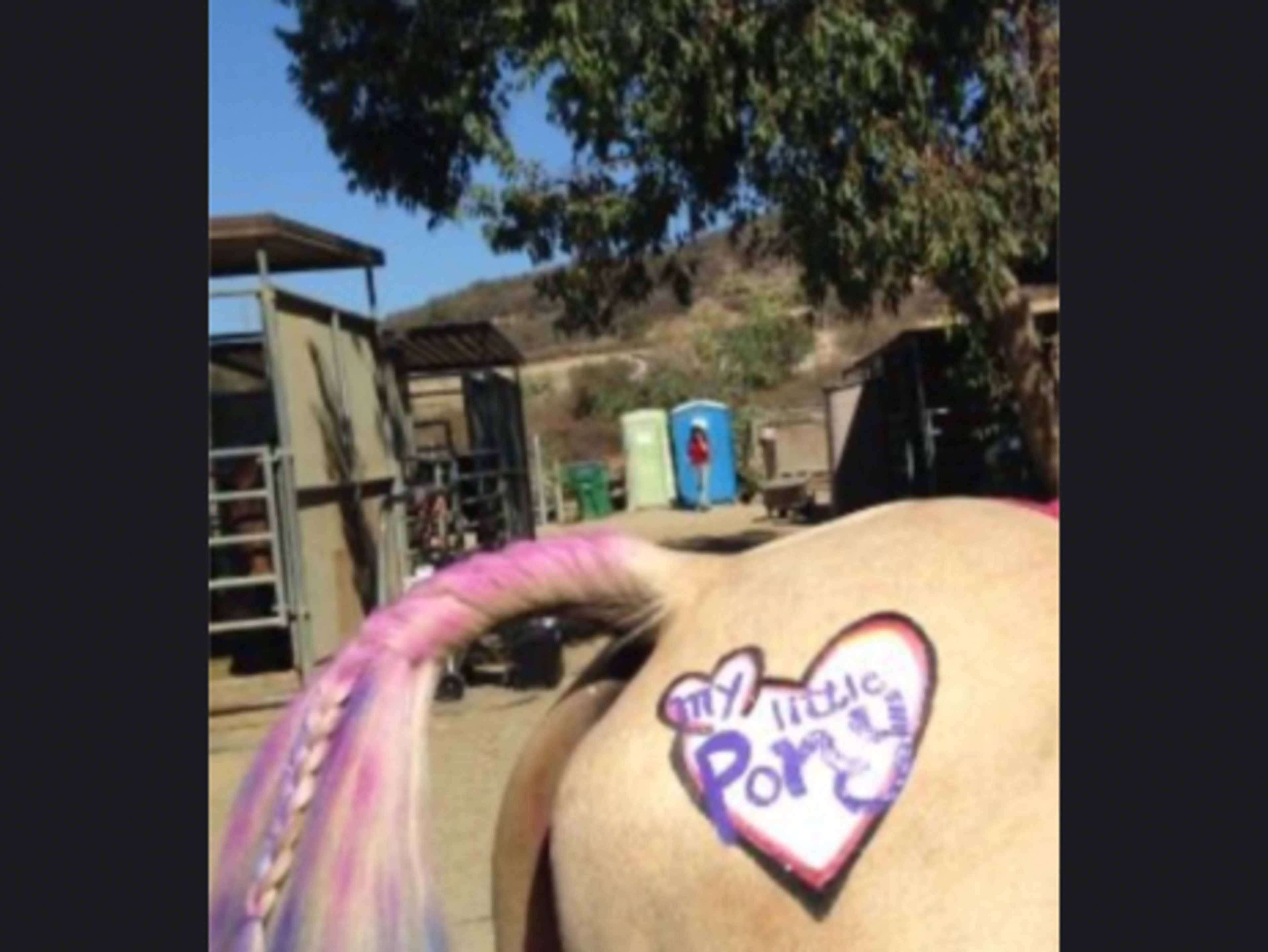     Pony Rides Only  