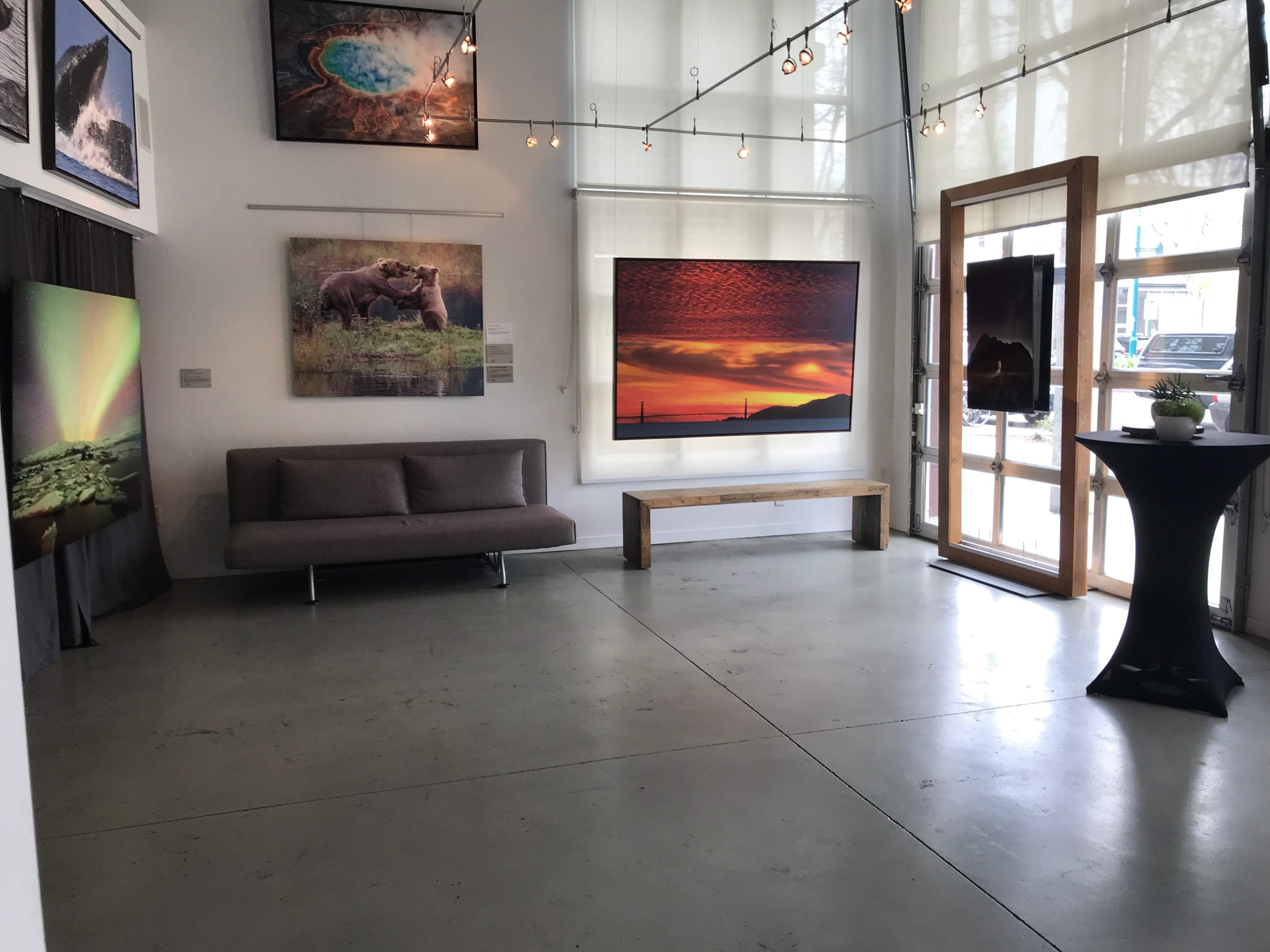 The interior of an art gallery features a gray couch, large photographs on the walls, and a black table near a window with string lights above.