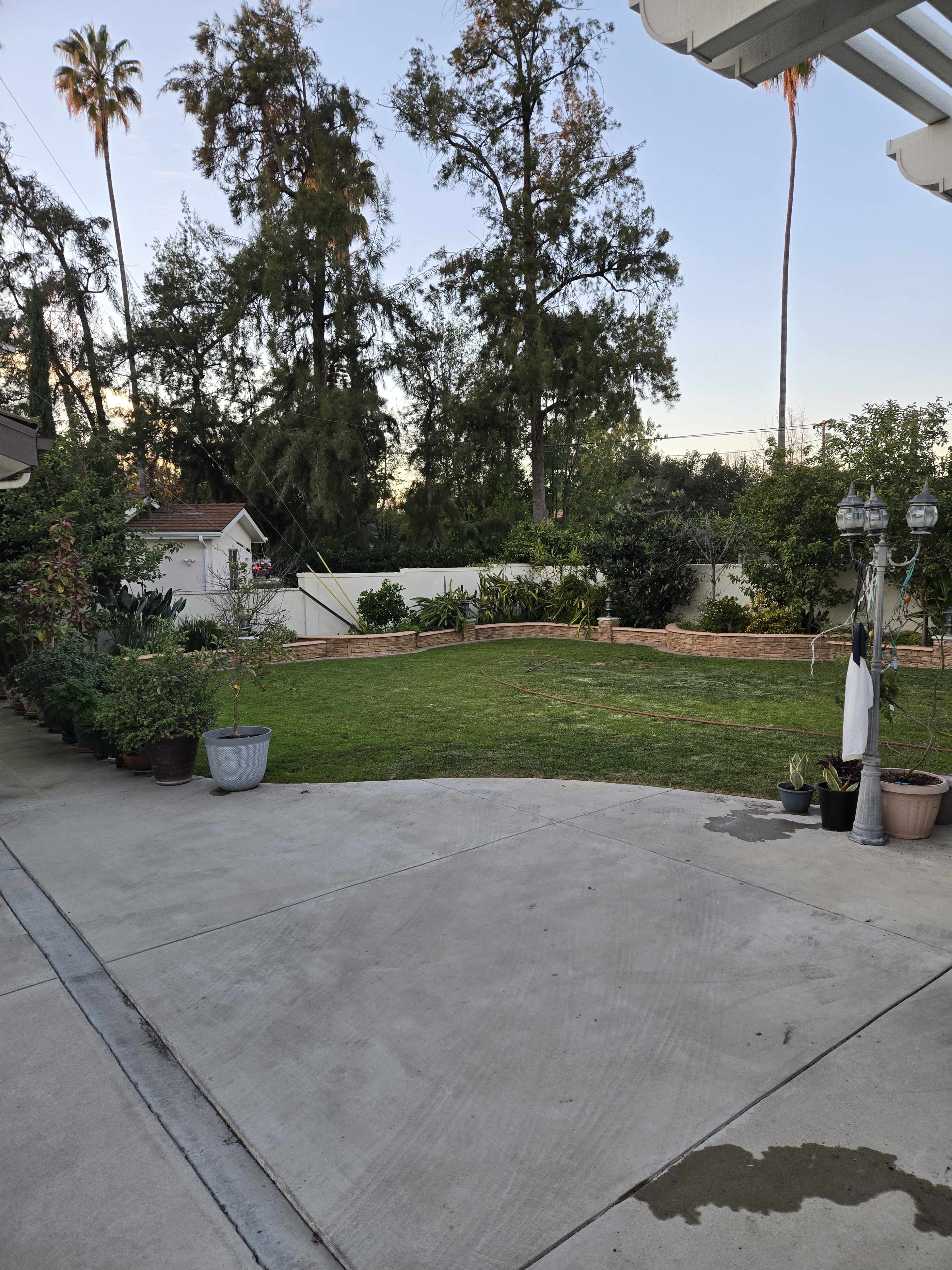 The image shows a spacious backyard with well-maintained green grass, surrounded by various plants and trees.