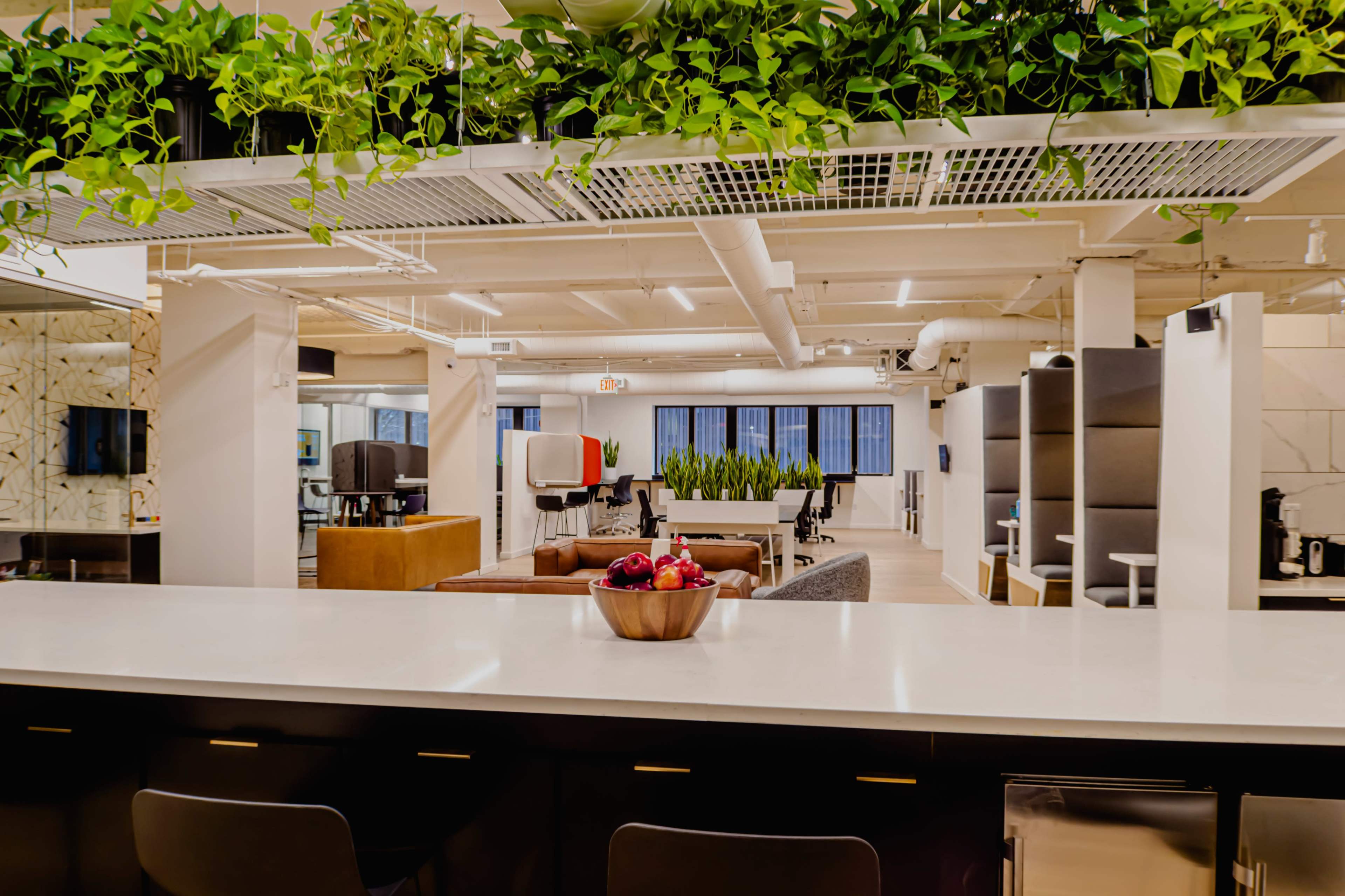 The image features a modern office space with a stylish kitchen area, a bowl of fruit on the counter, and plants hanging from the ceiling.